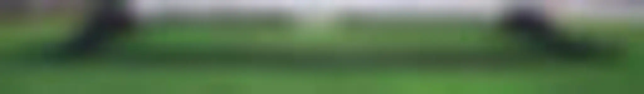 FAST Football Academy