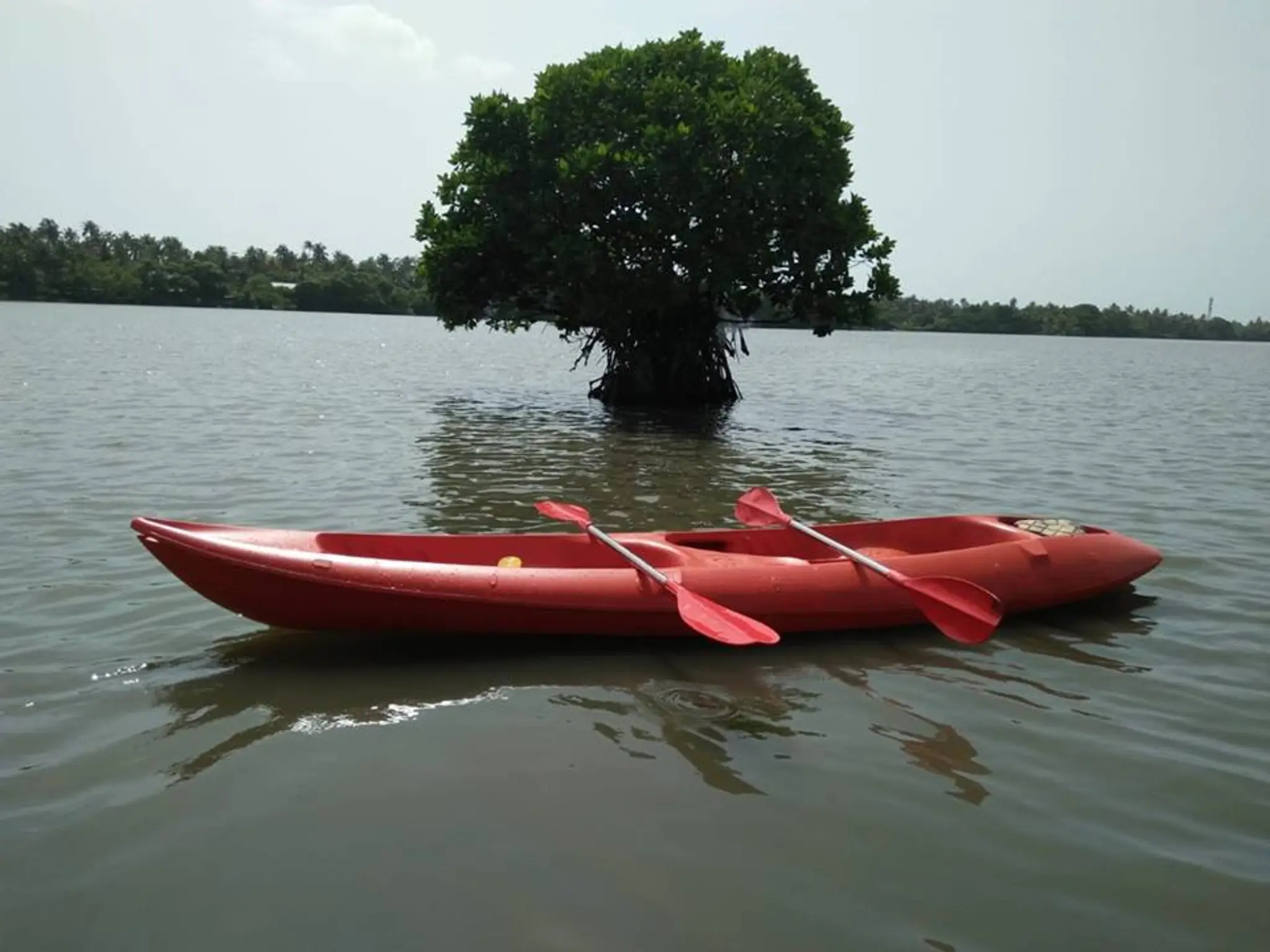 Michaels Land Homestay Resort