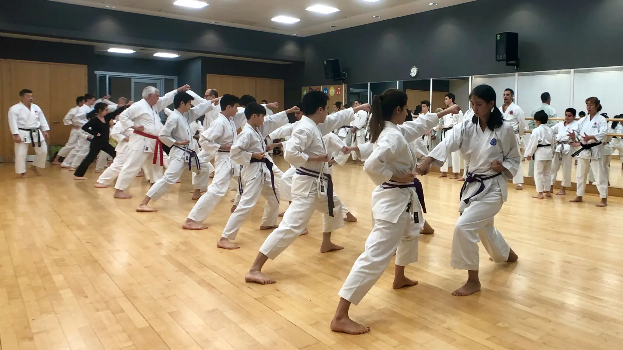 Shiranamikai JKA Shotokan Karate