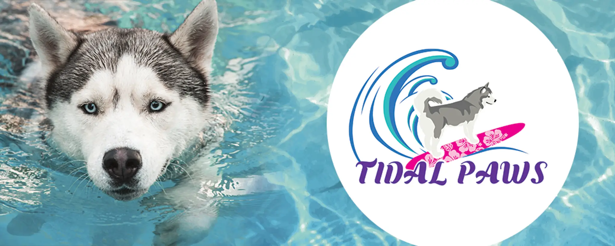 Tidal Paws Dog Fitness Swimming Pool