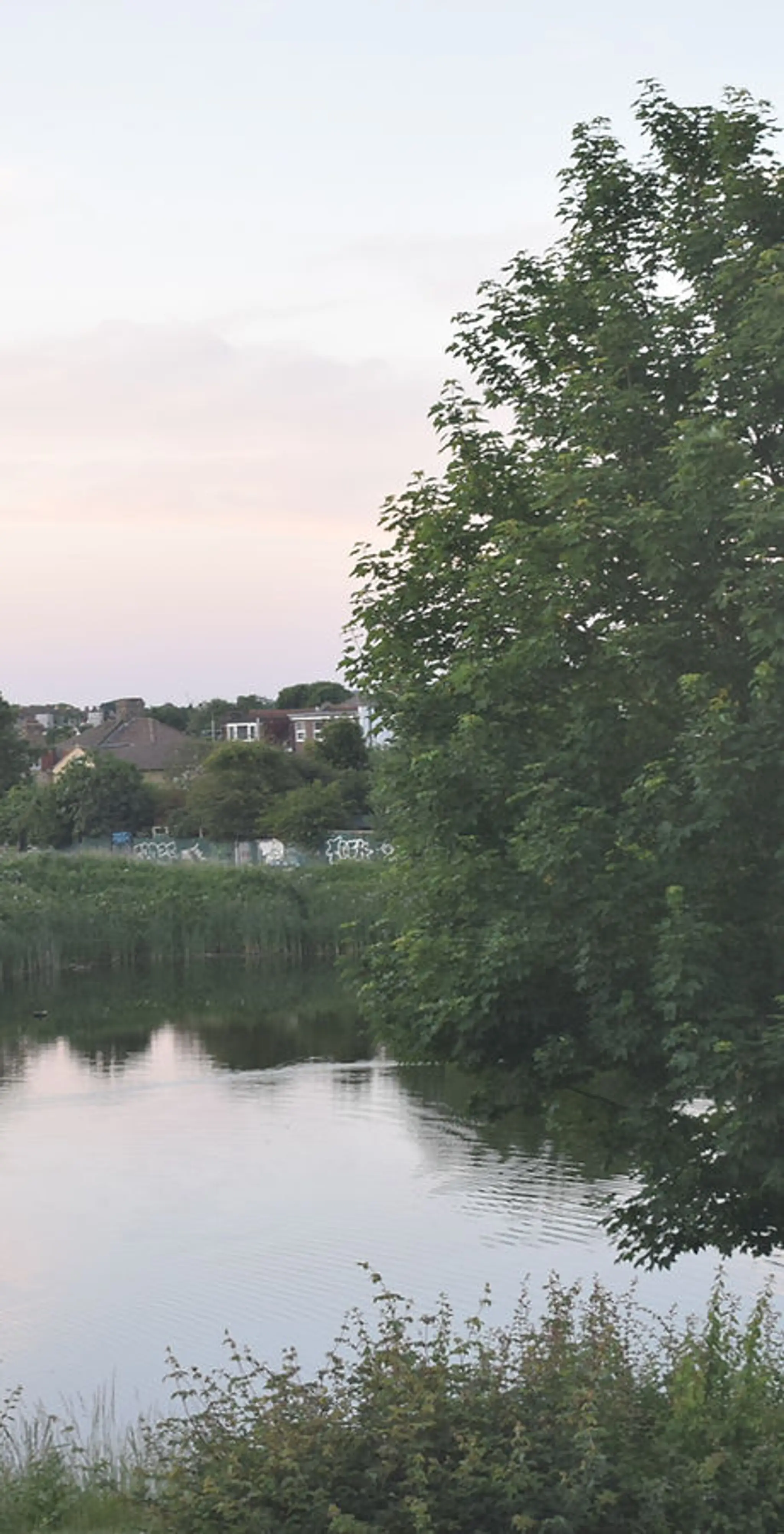 Zyan Light Therapy -Reiki Master/Therapist Croydon, crystal & sound healing, Qualified yoga instructor