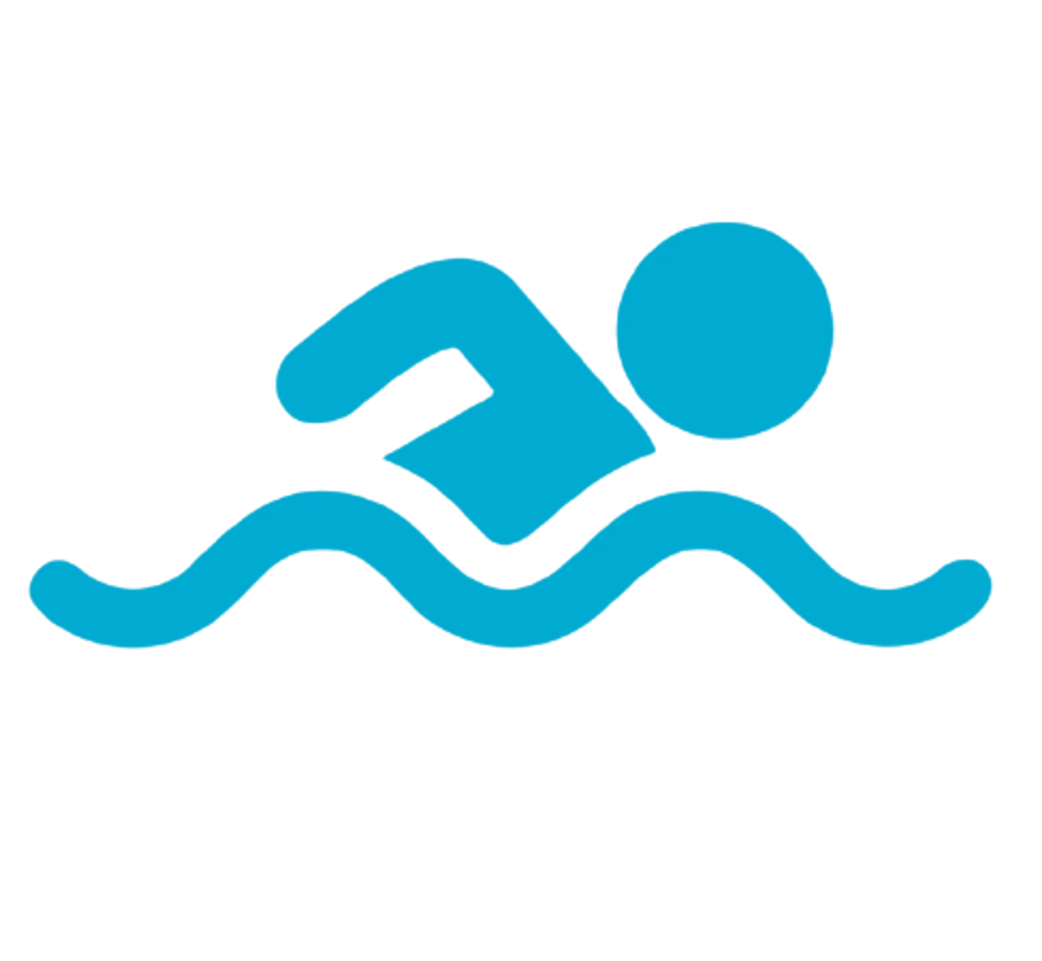 Pool Du Mirail