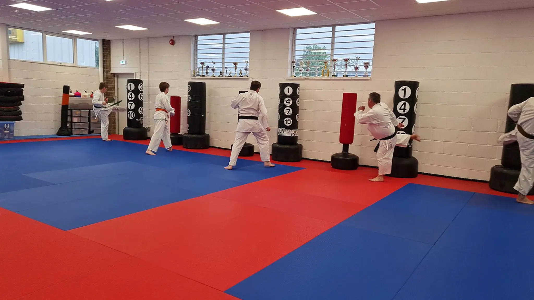 Shin Gi Tai Martial Arts Academy