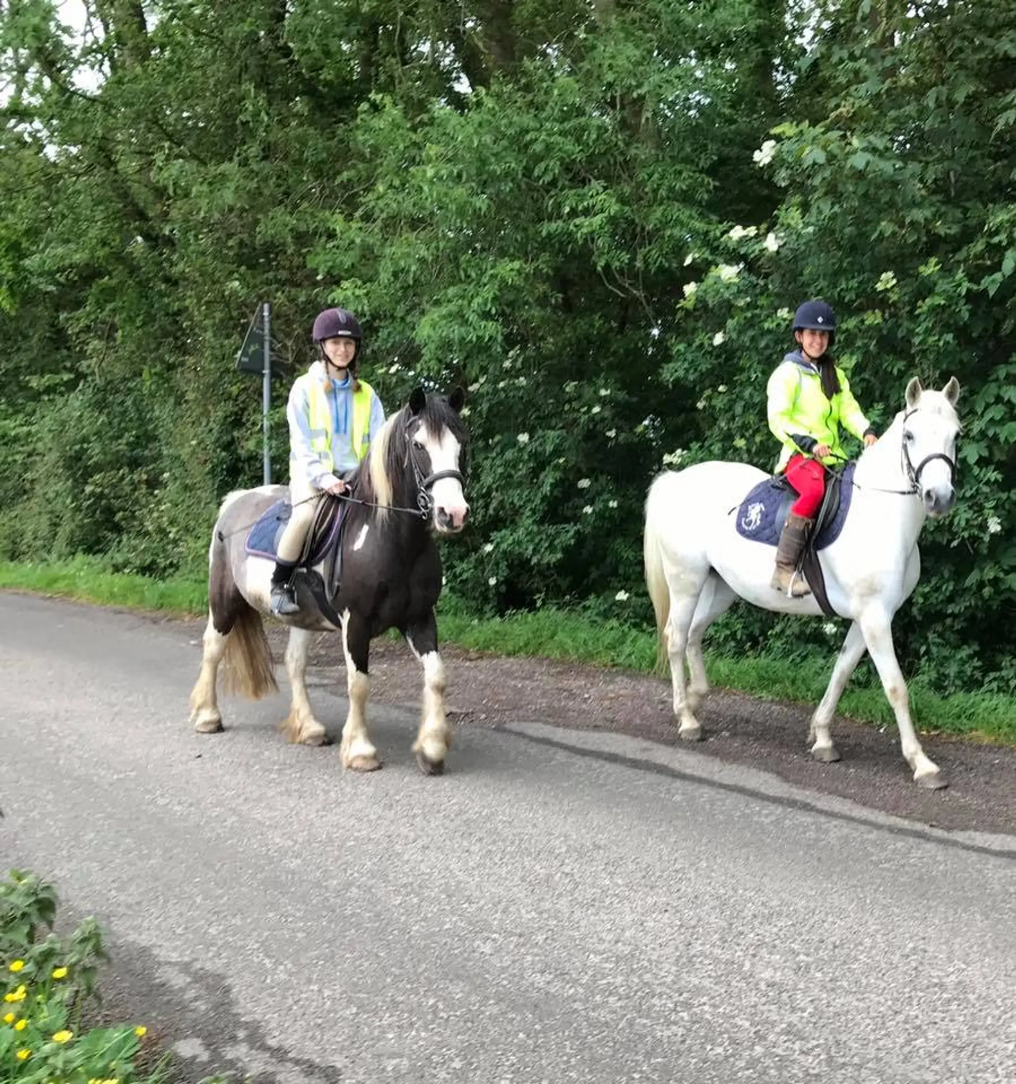 Minnismoor Riding Stables