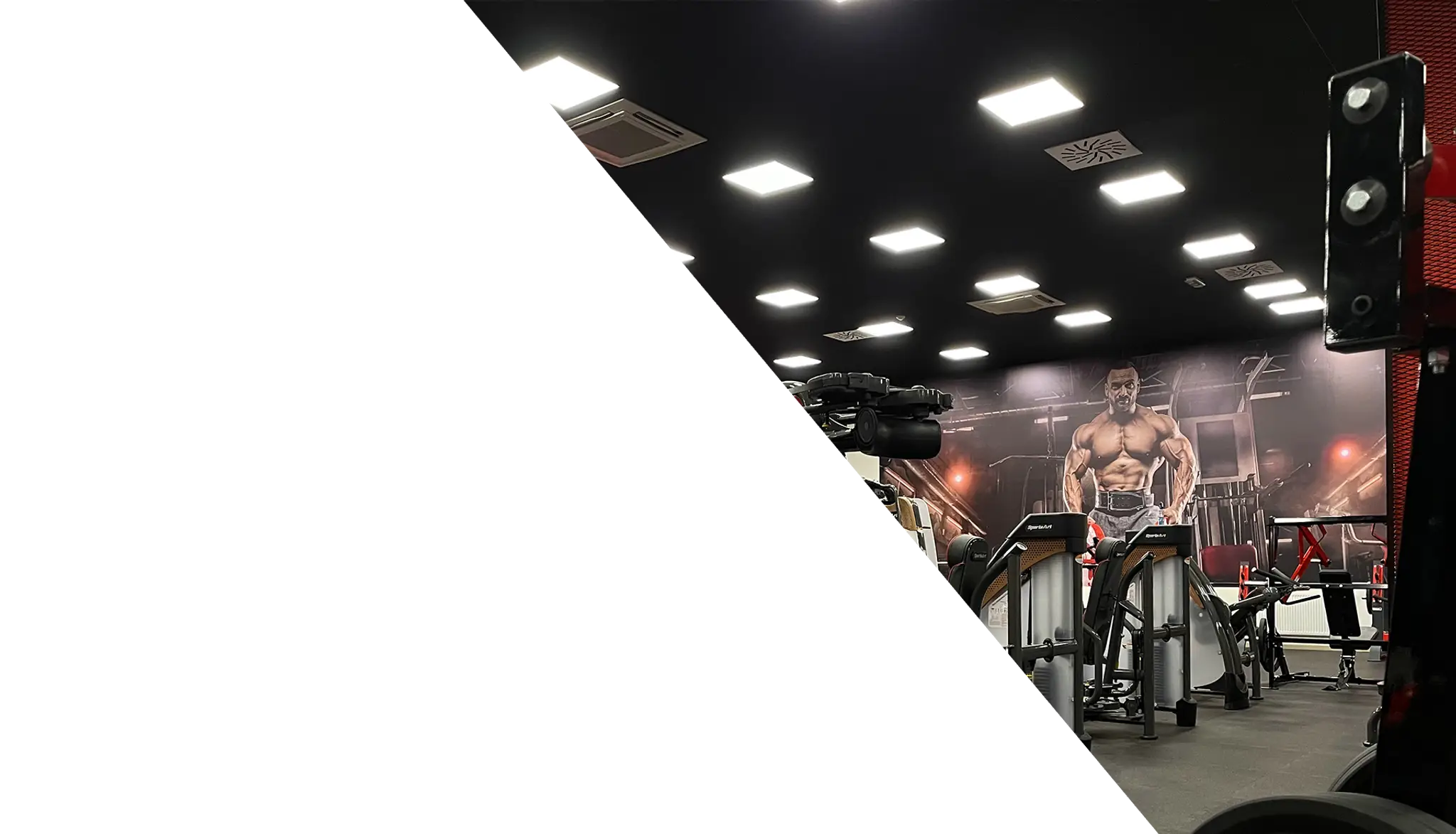 365 Gym