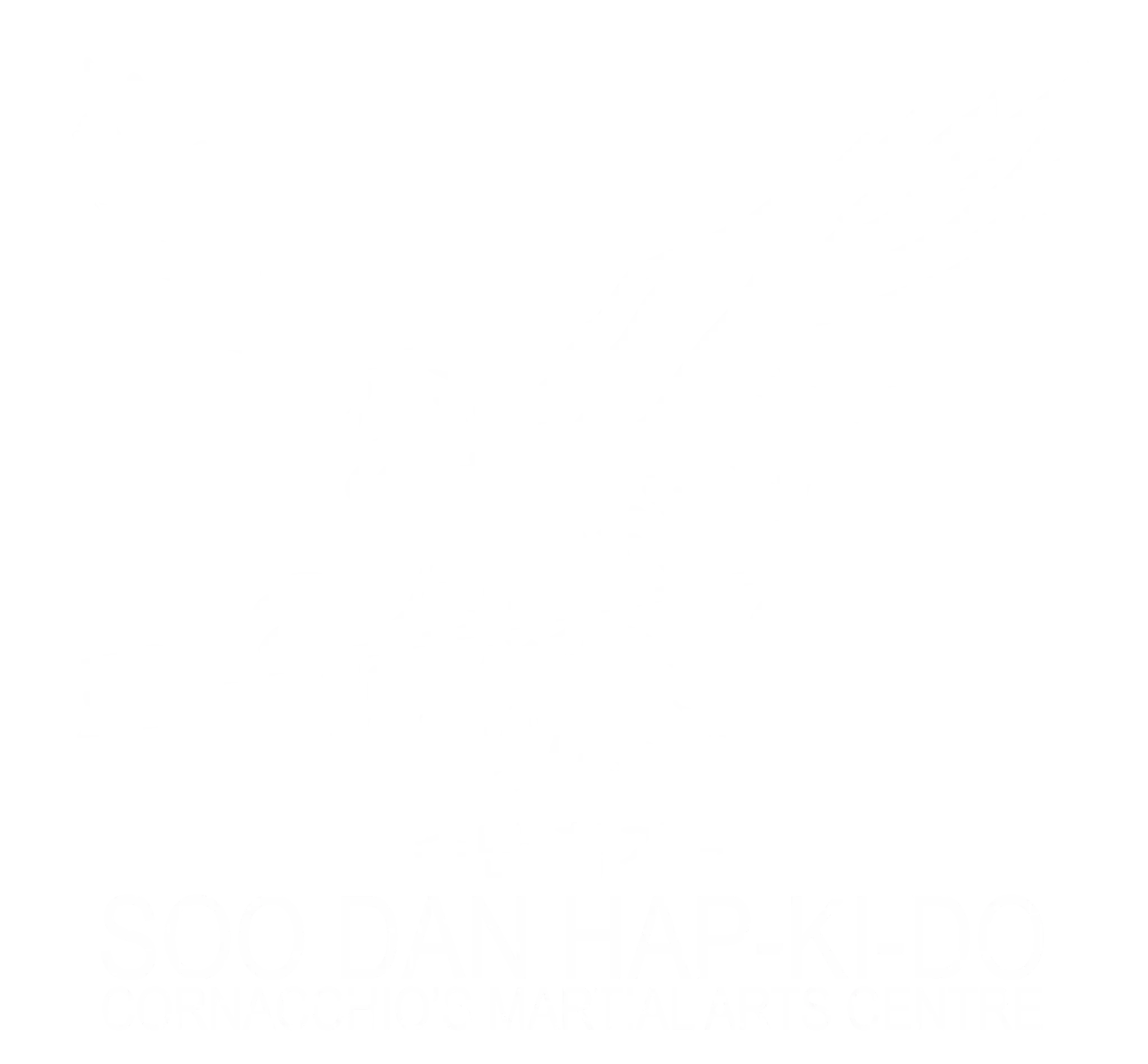 Soo Dan Hap Ki Do Academy