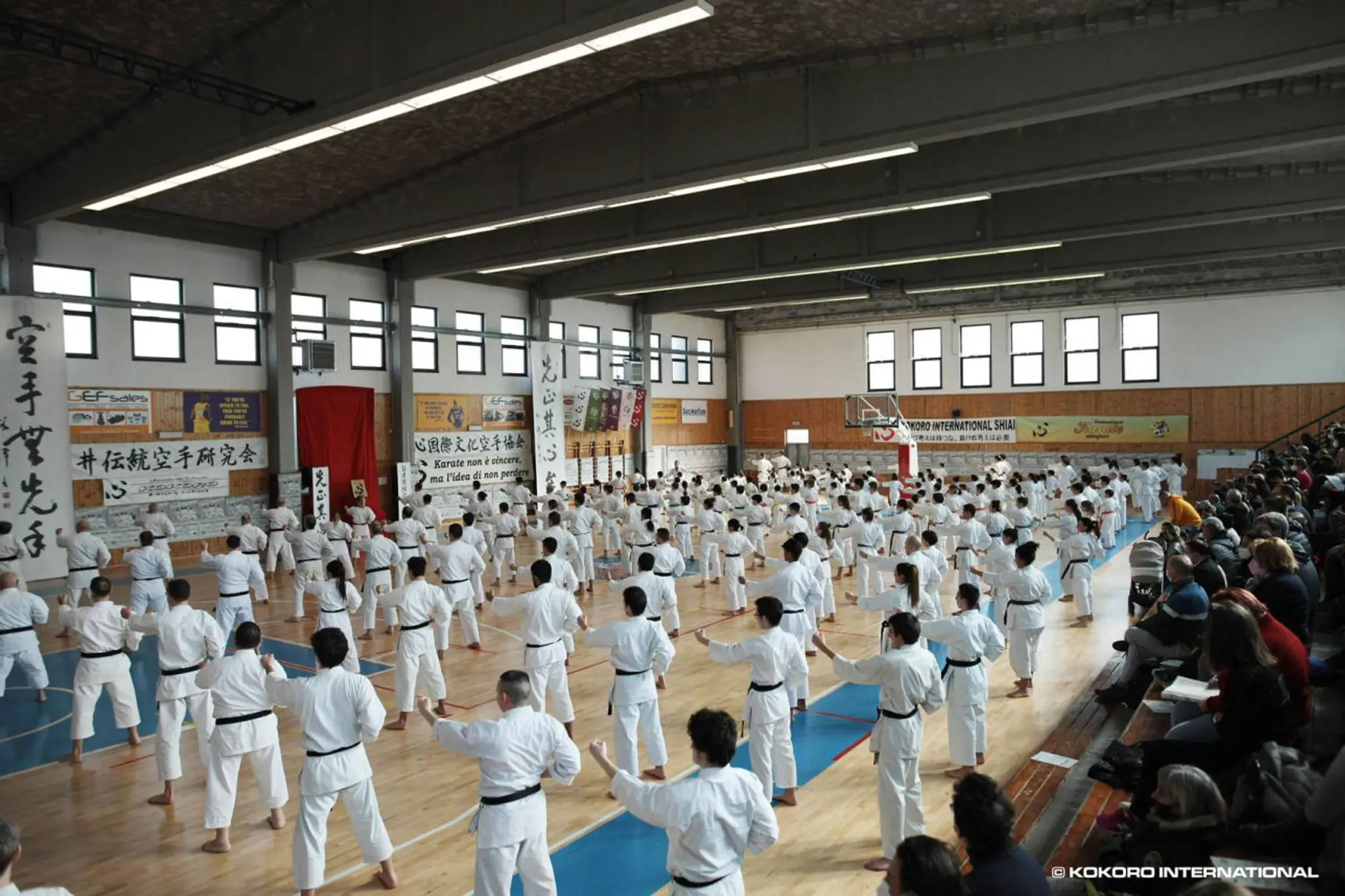 TOKON Karate - Milano