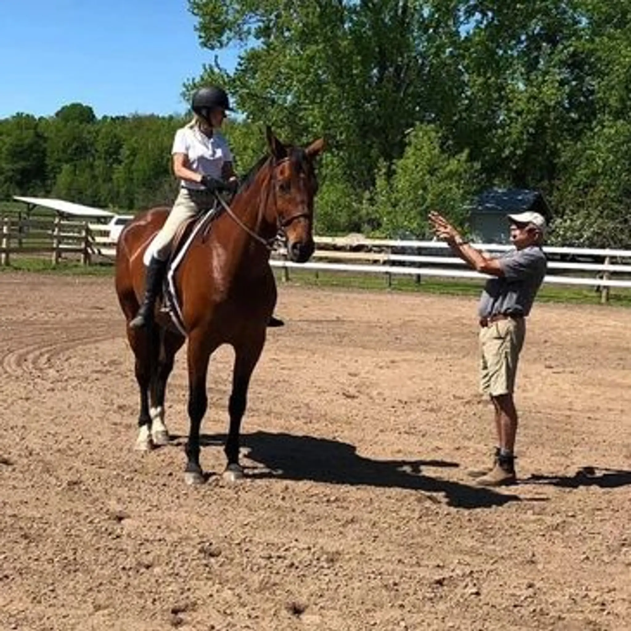 Xenora Horse Empowerment