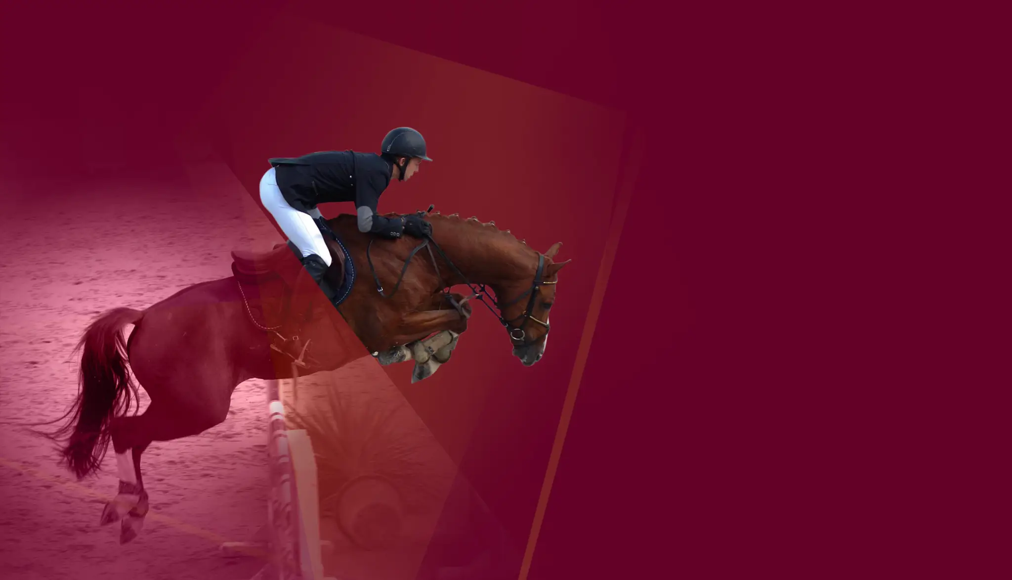 Scea Du Haras D'eglefin