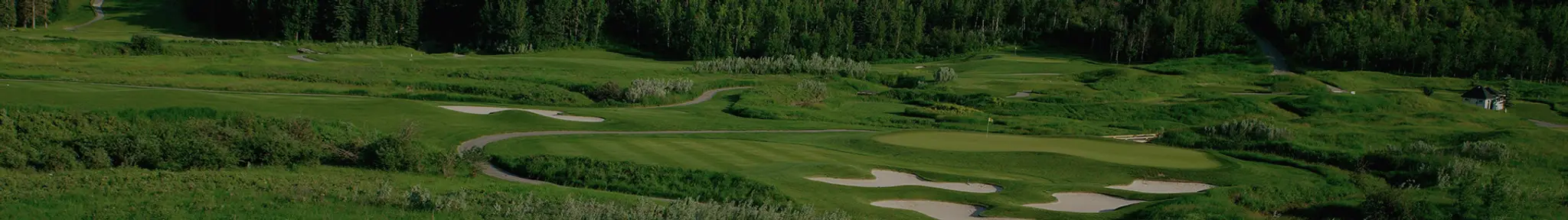 The Golf Academy At Heritage Pointe