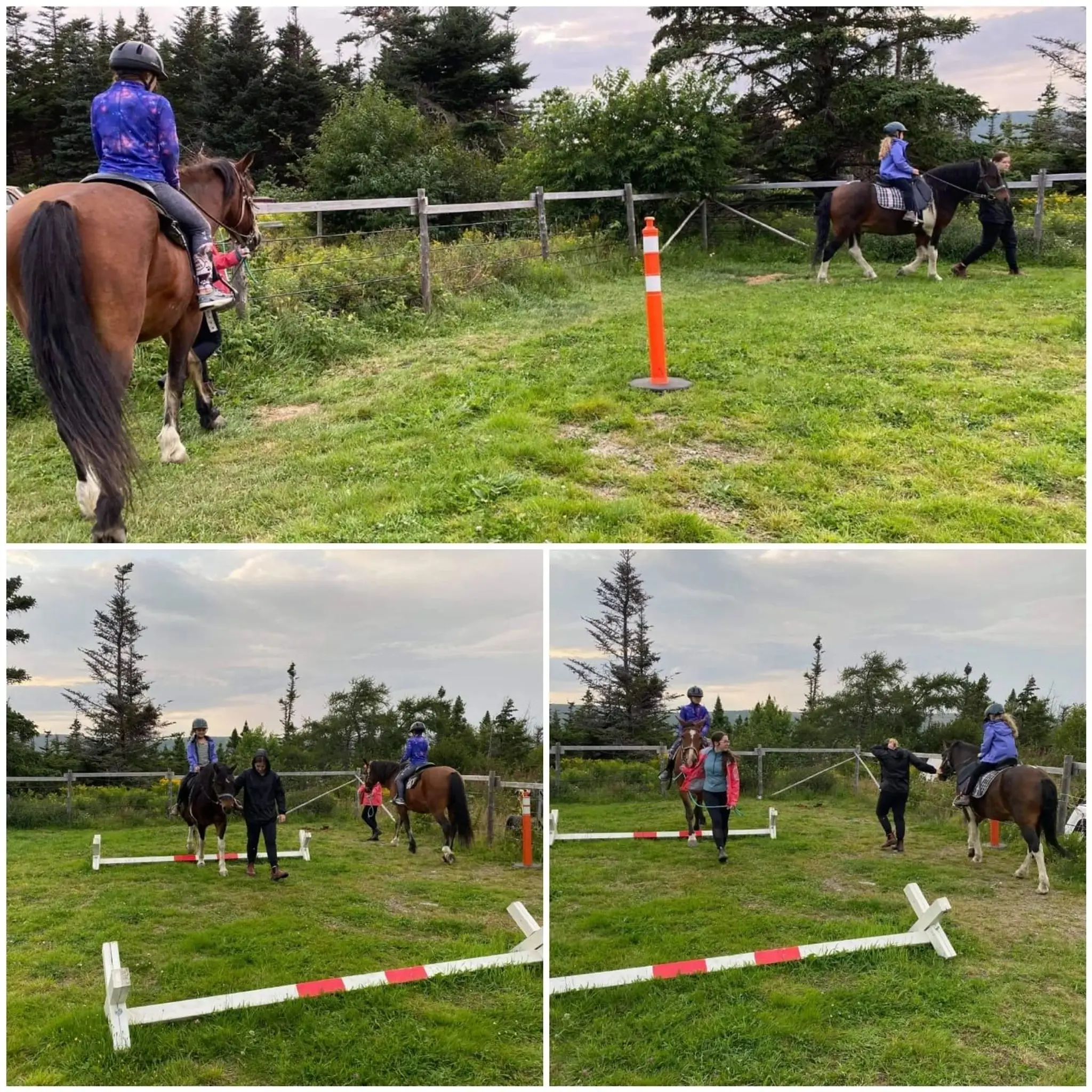 Earle's Riding Horses & Fun Park