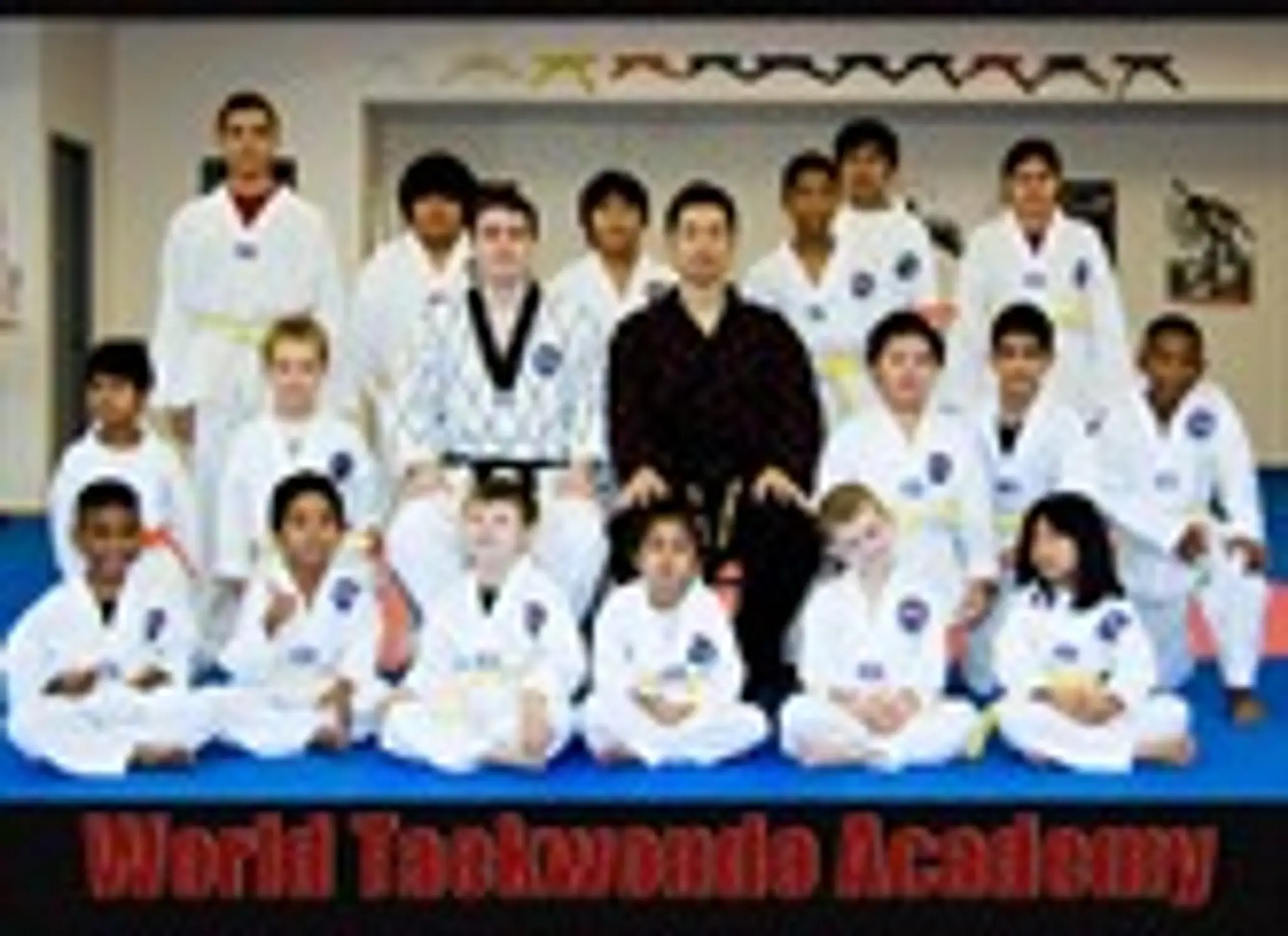 World Martial Arts: Gracie Barra Brazilian Jiu Jitsu (BJJ) & Taekwondo