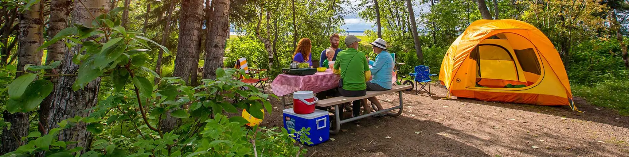 Prince Albert National Park