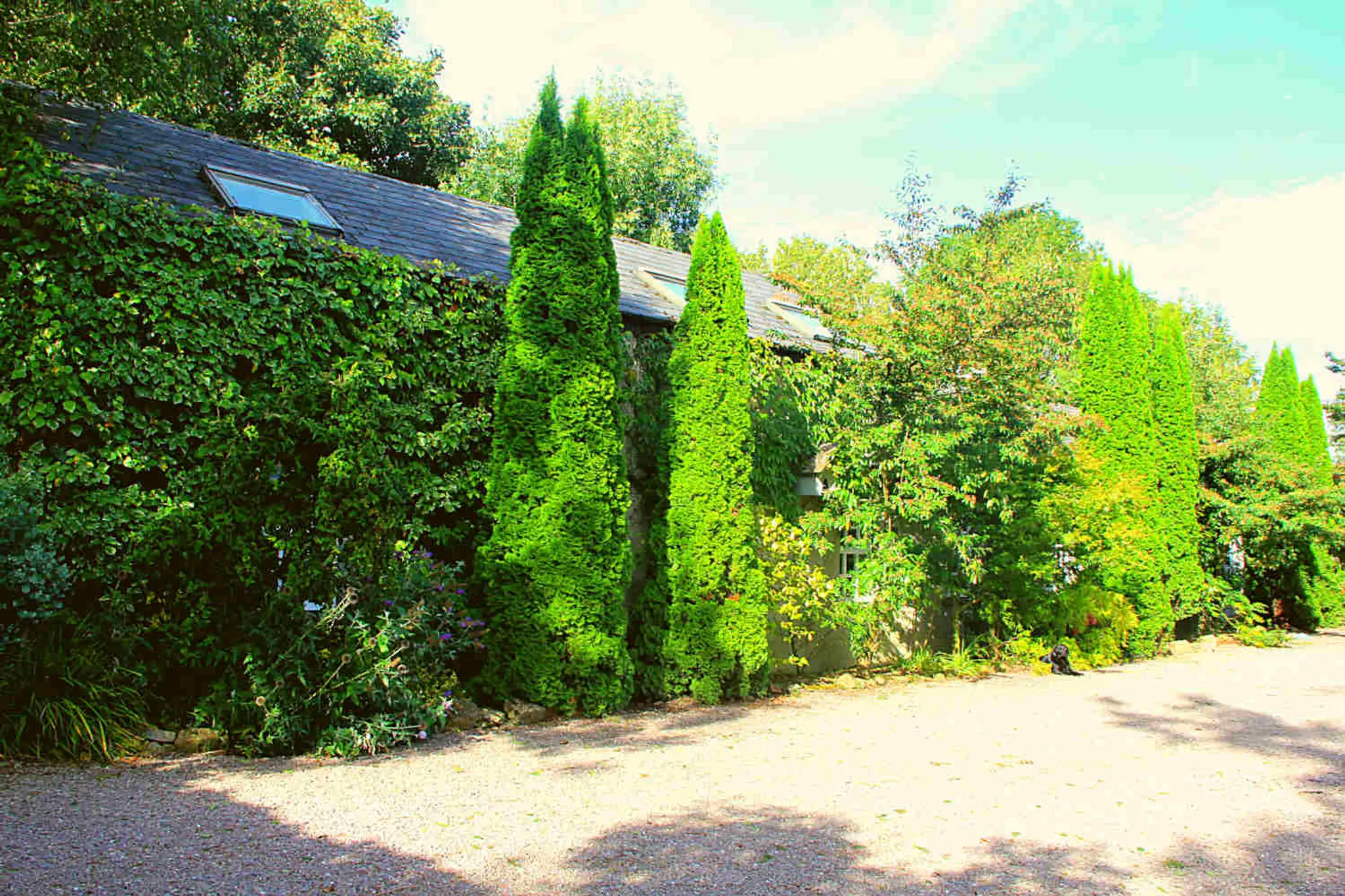 Eden Hill Equestrian Centre