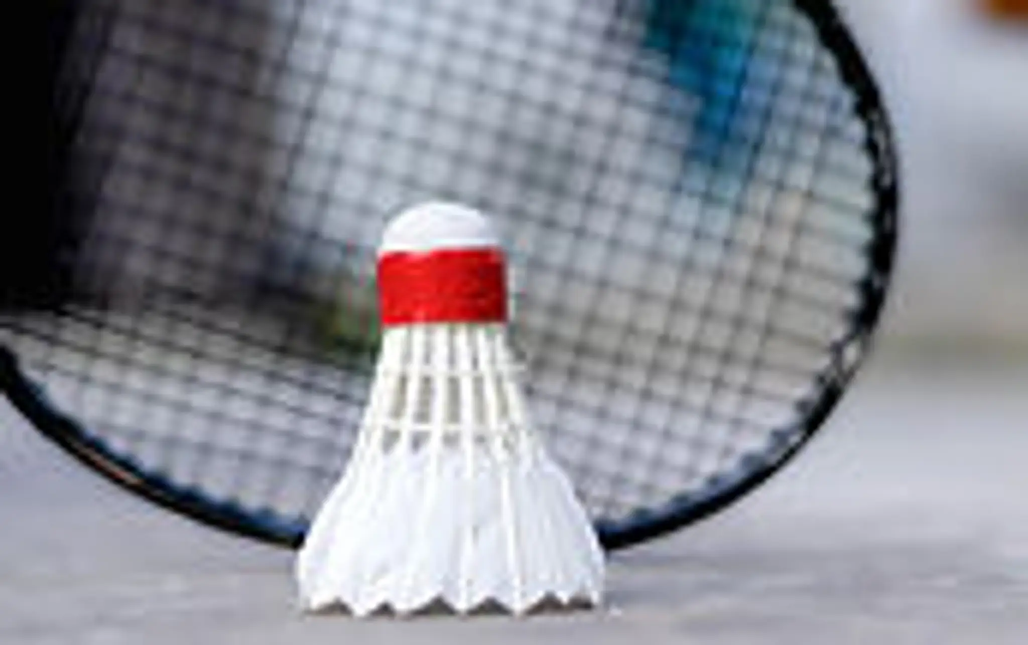 Club de Badminton FBC74