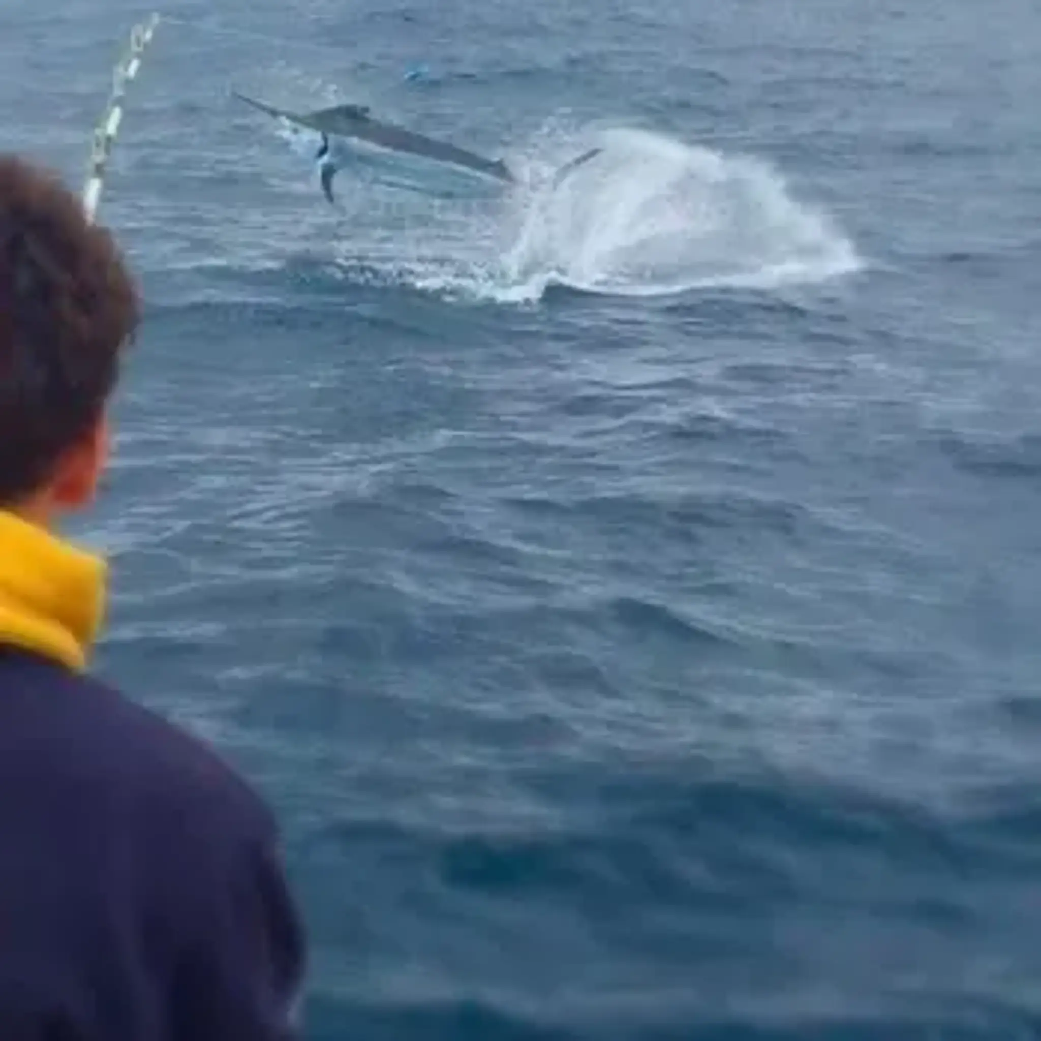 Head Hunter Charters