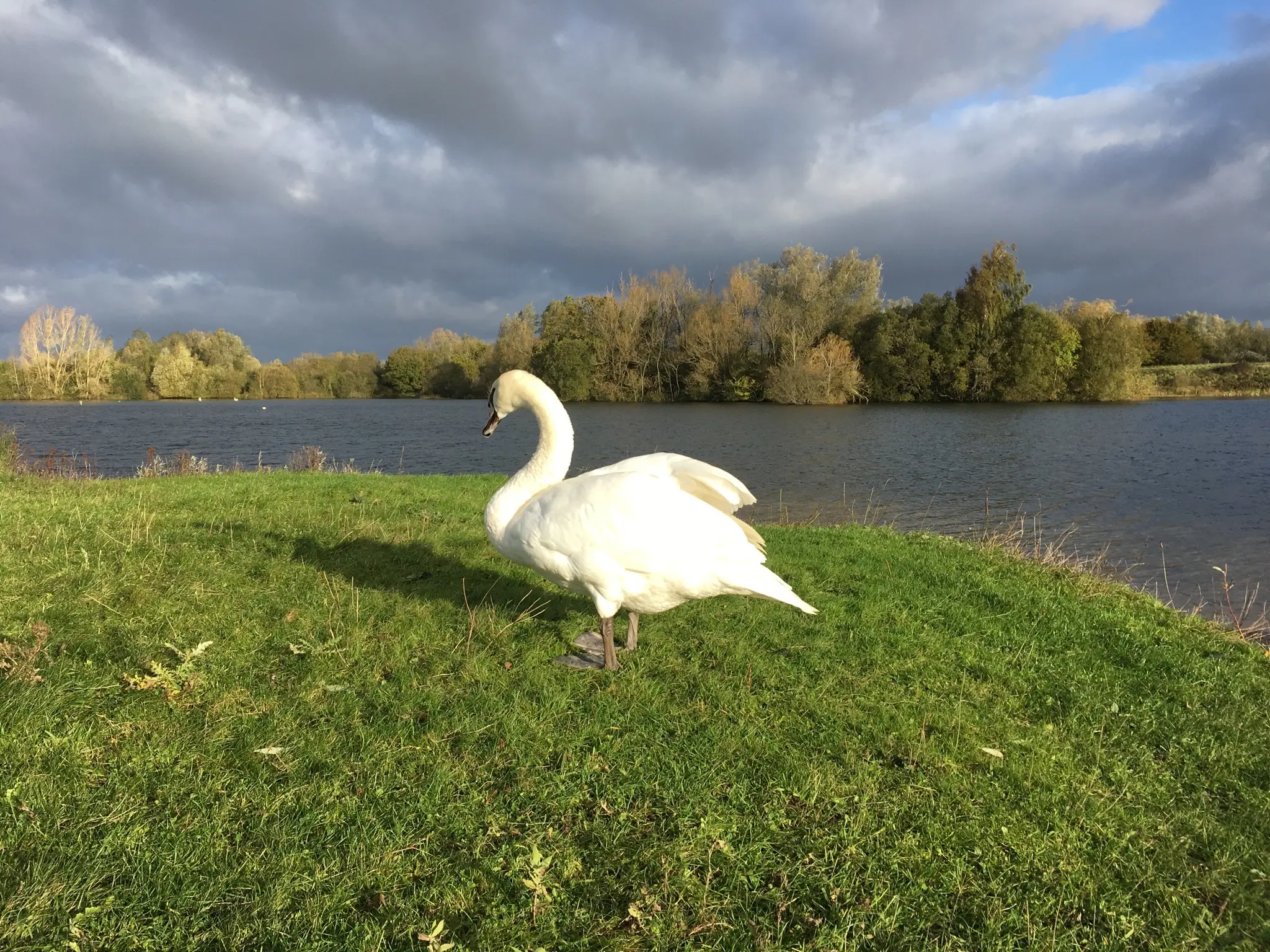 Mallard Flyfishers Syndicate