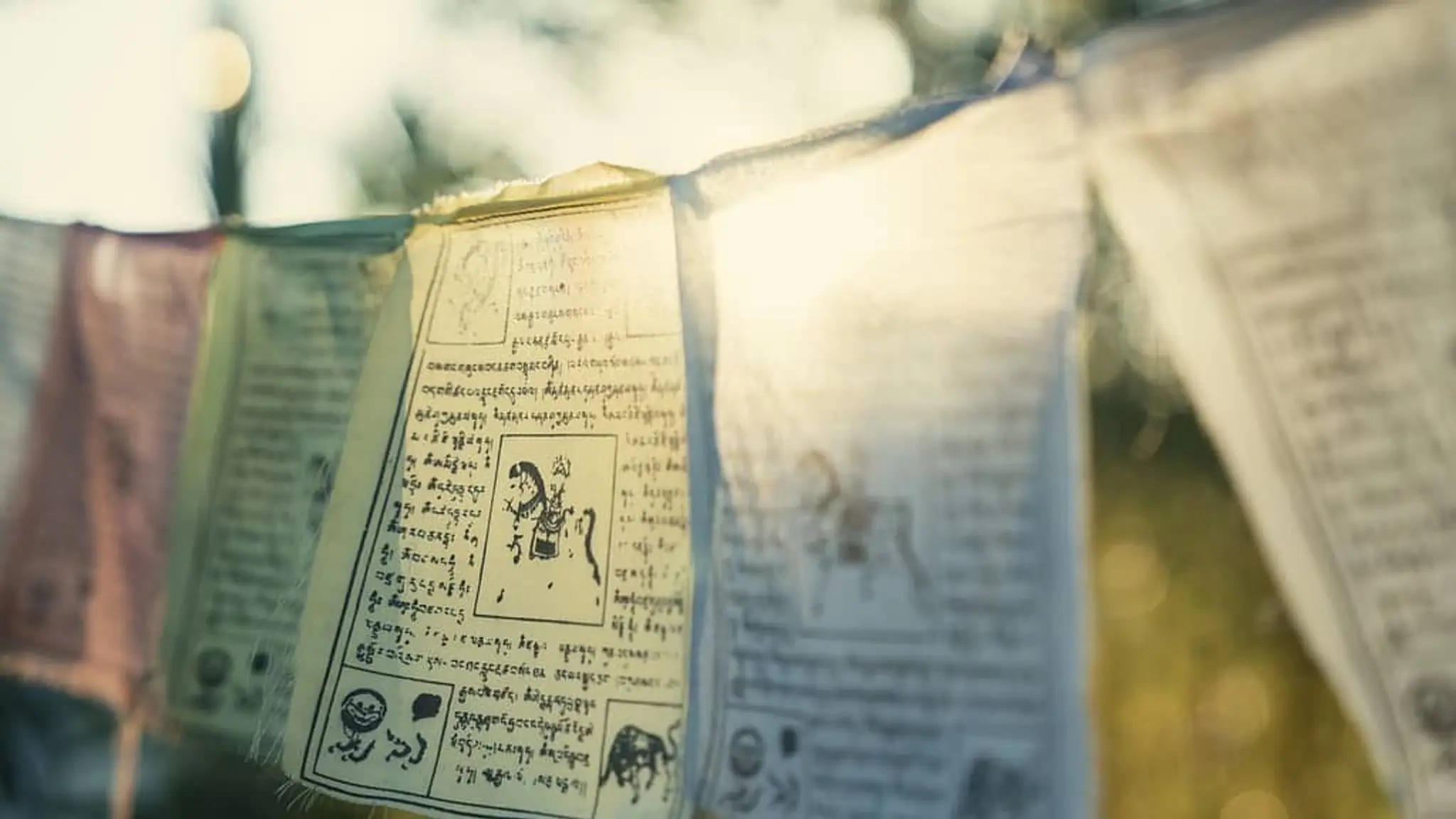 Frik-Shuhn Yoga & Coaching