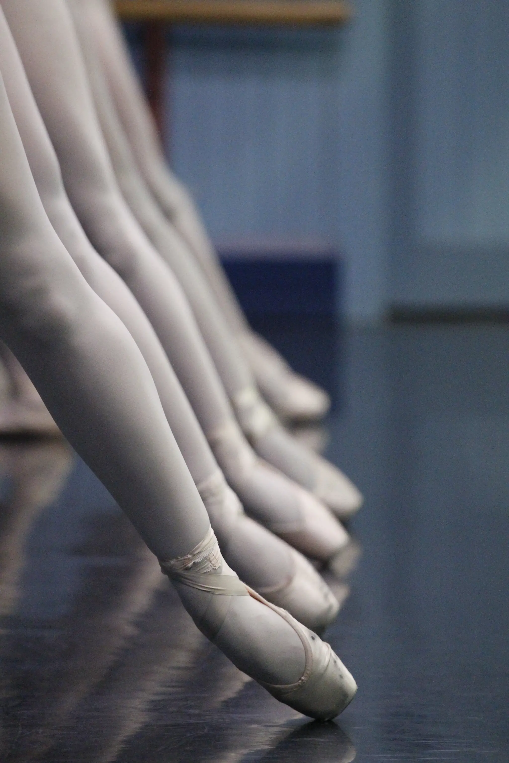 Ballet & Dance Arts Tasmania