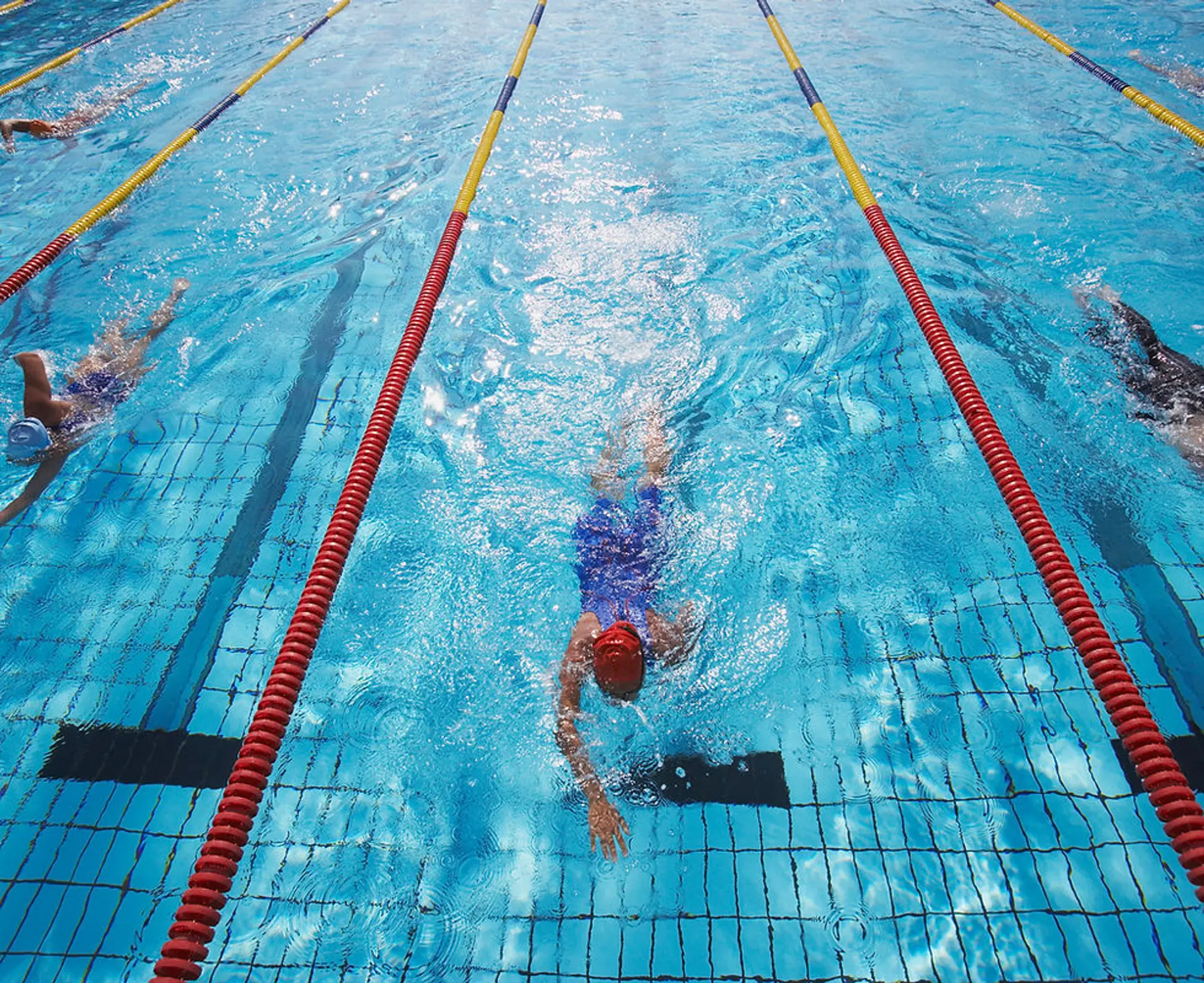 Thoppans Aquatics Kottayam