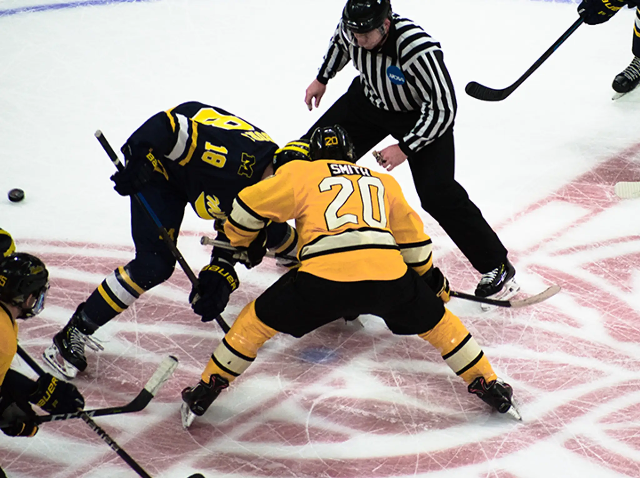 JL Arena