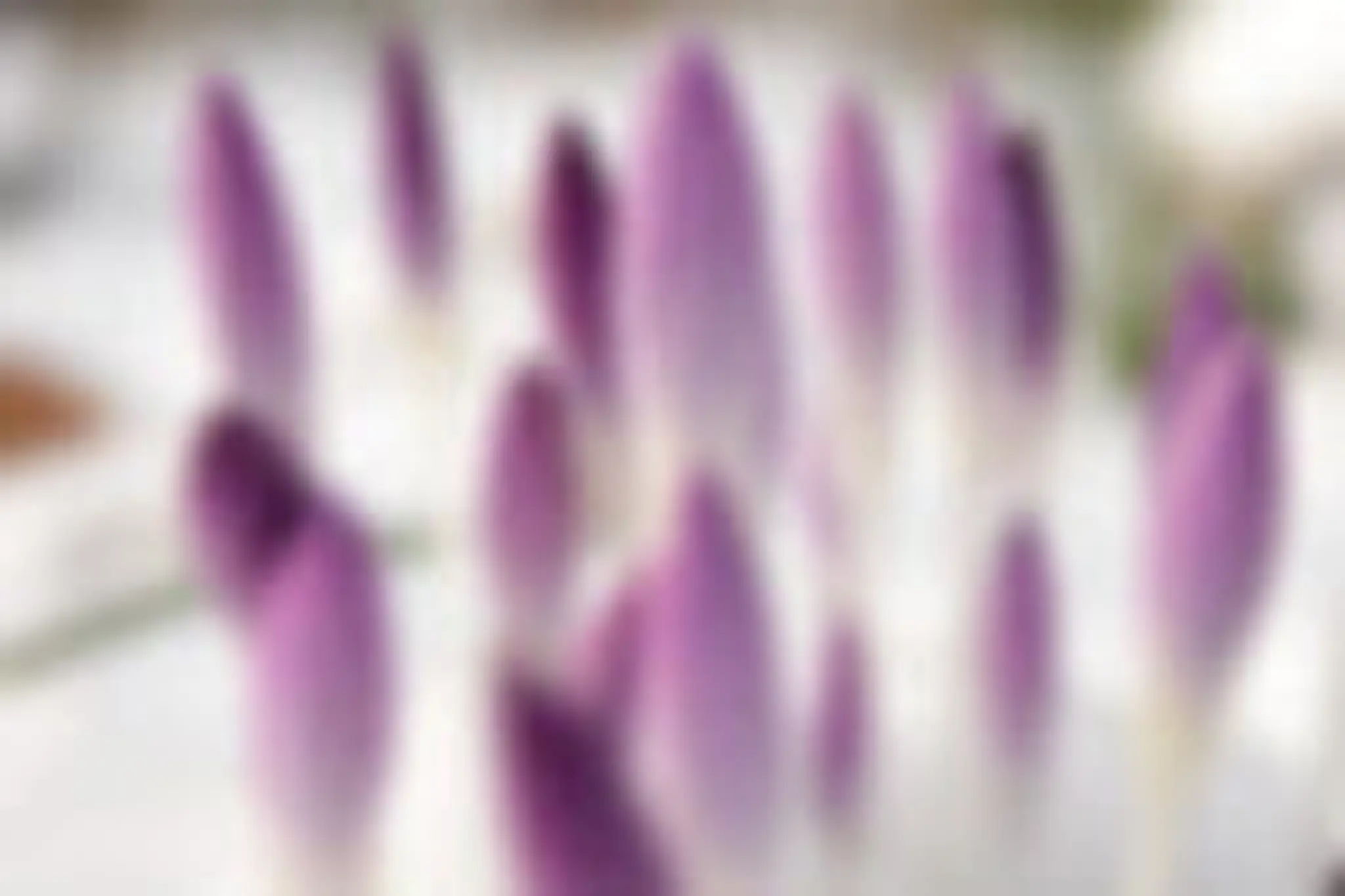The Reiki Centre