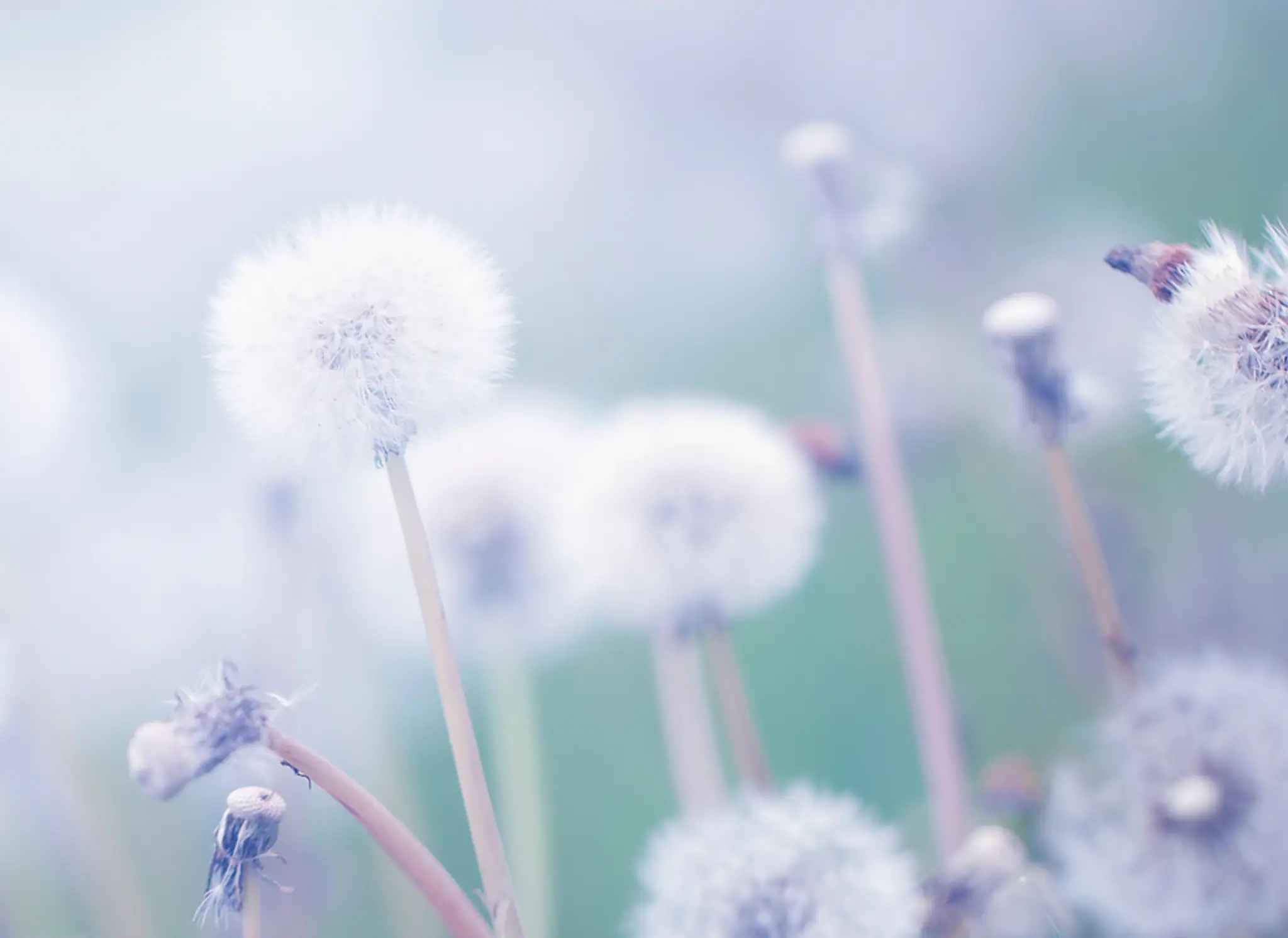 Infinite Health Studio