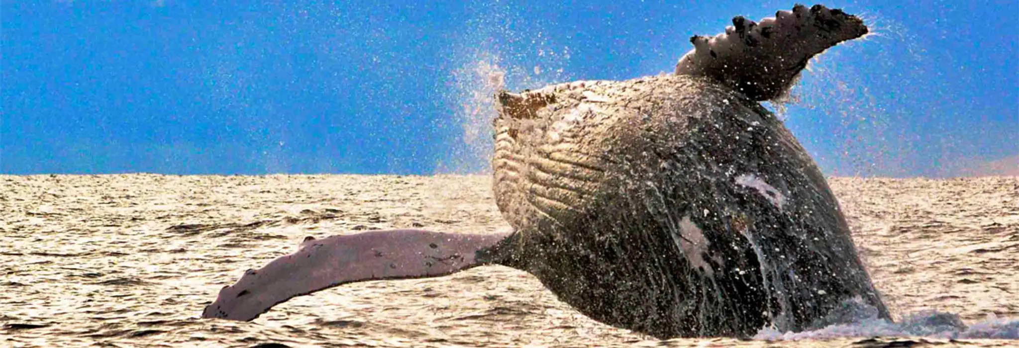 Reel Time Fishing Yamba