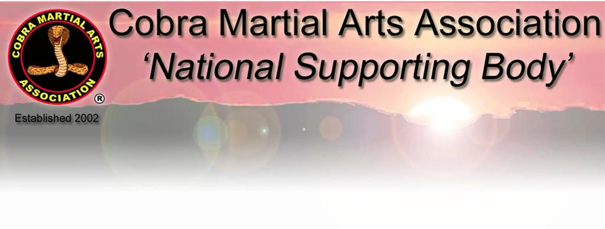Cobra Martial Arts Association
