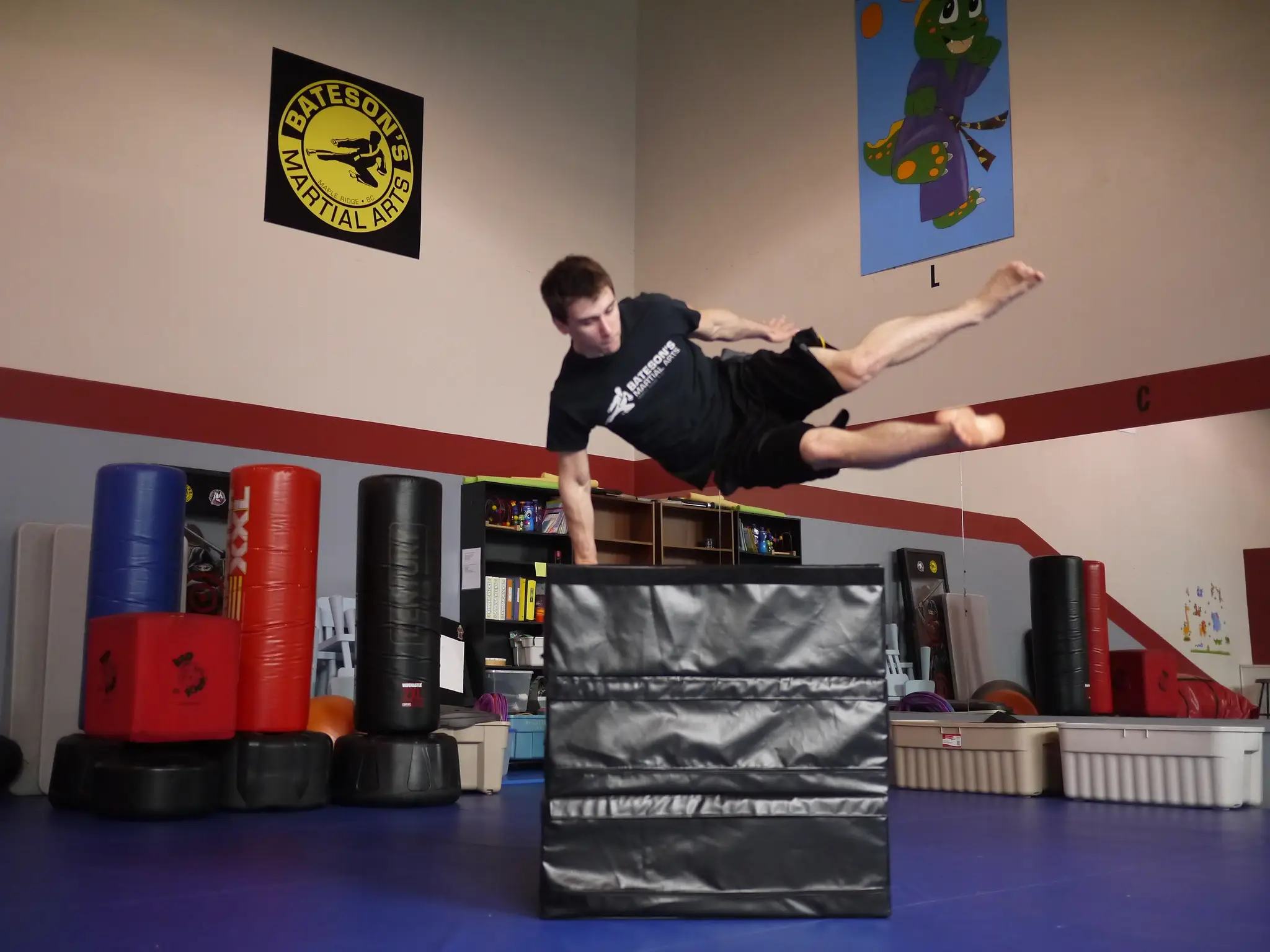 Bateson's Martial Arts
