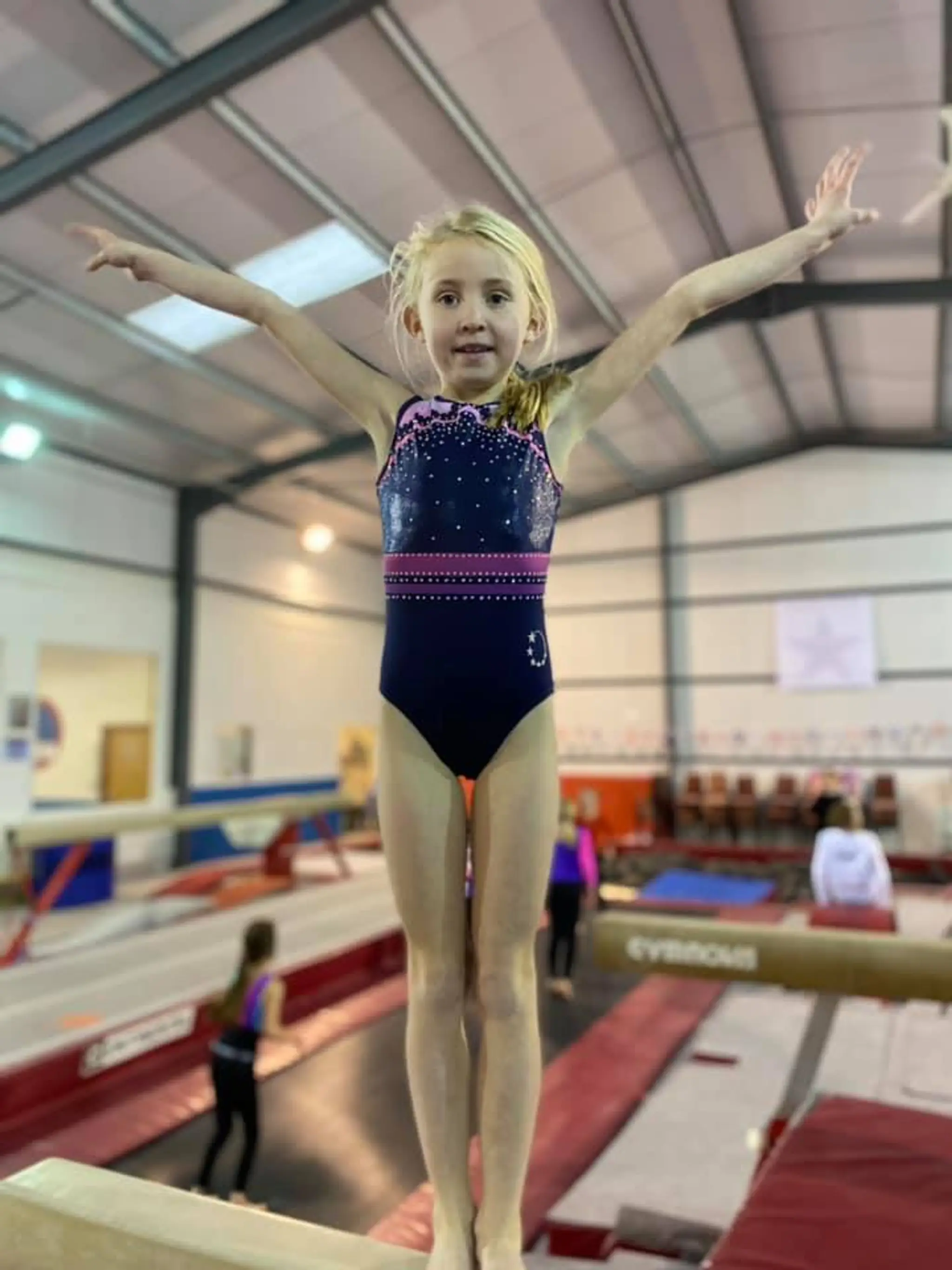 The Norfolk Academy of Gymnastics