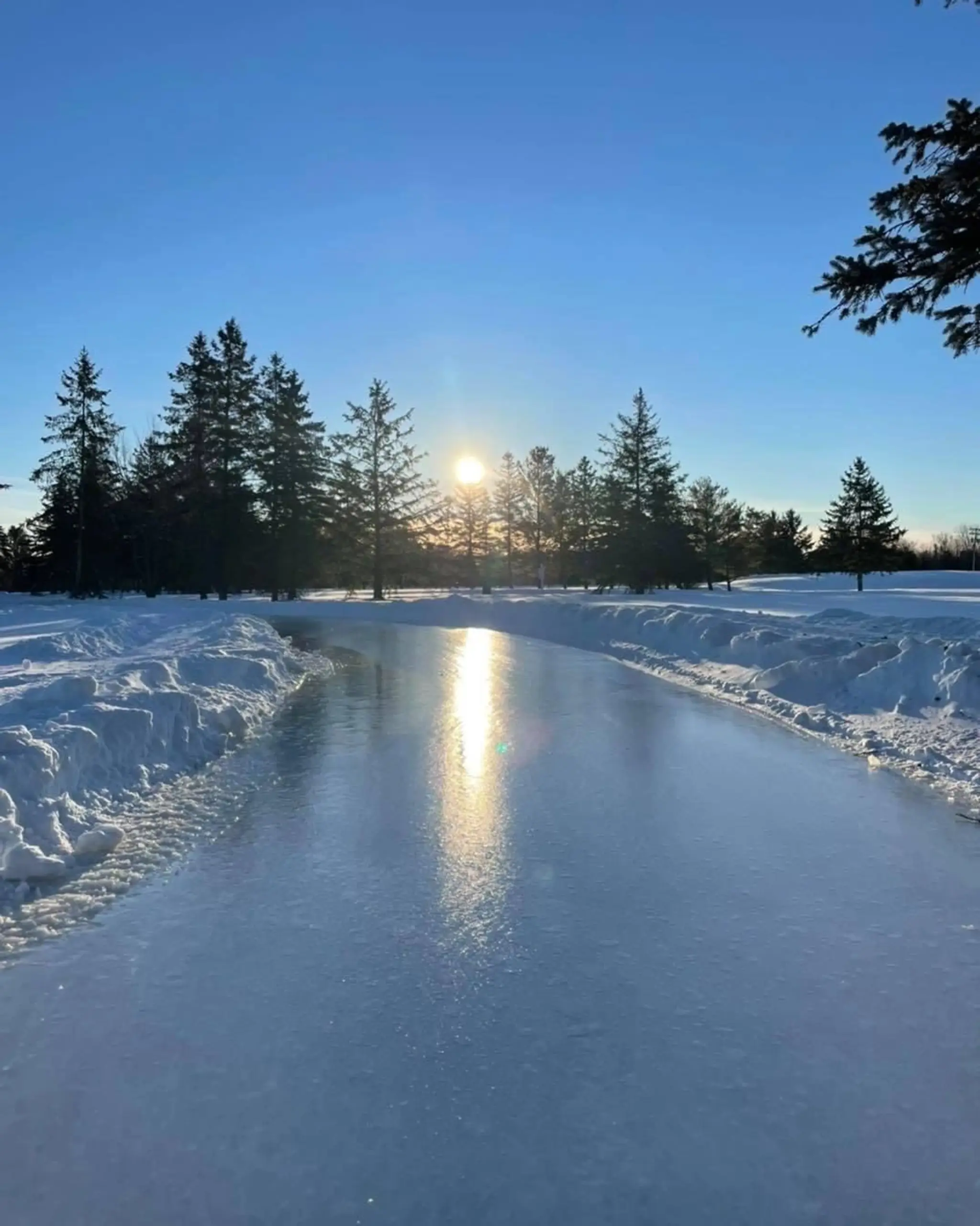 The Little Penguin Trail