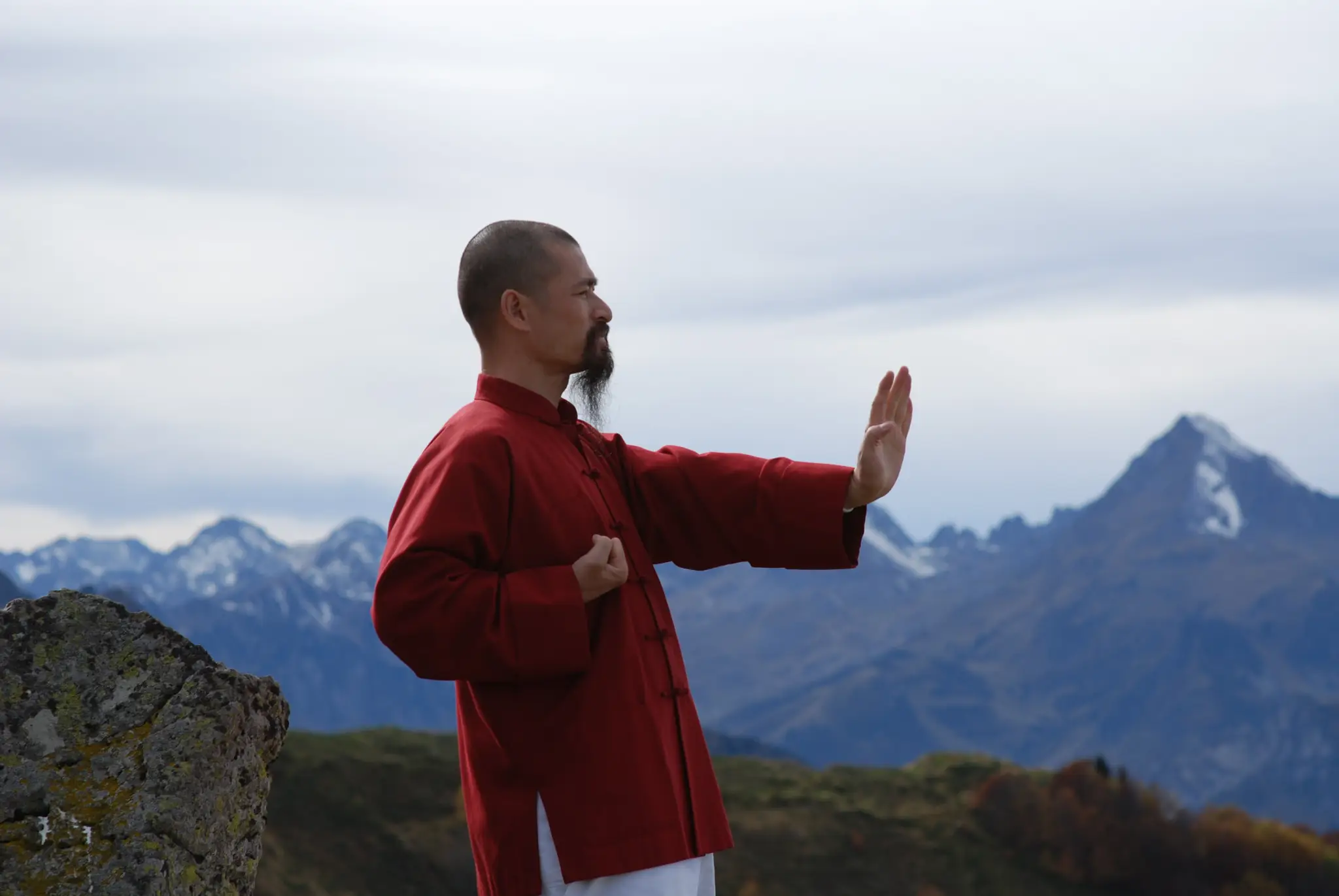 siu lim tao wing chun kung fu