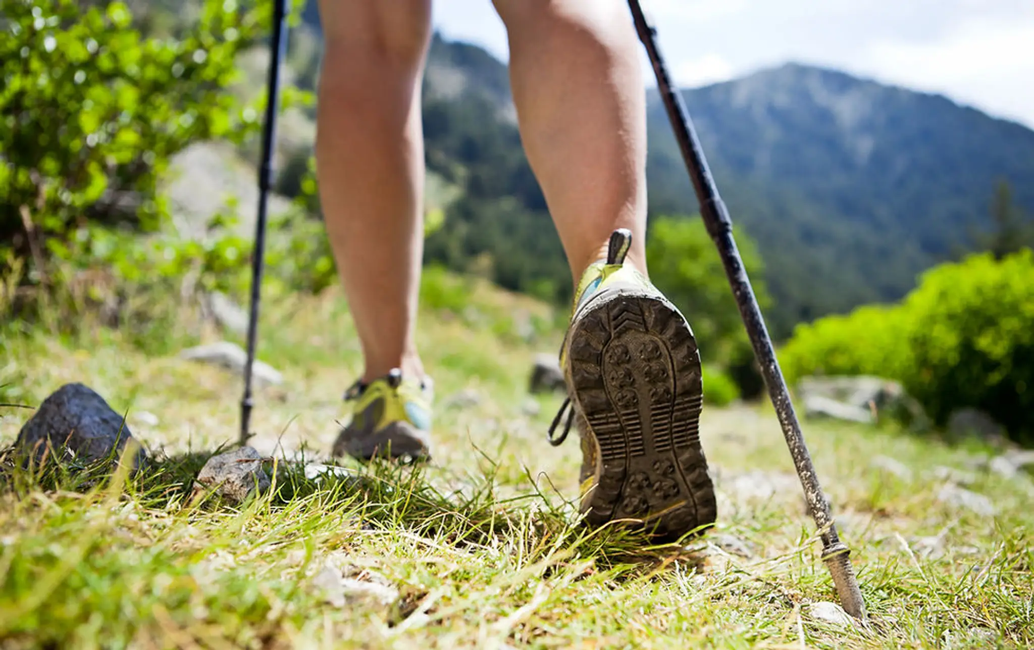 Nordic Walking Devon