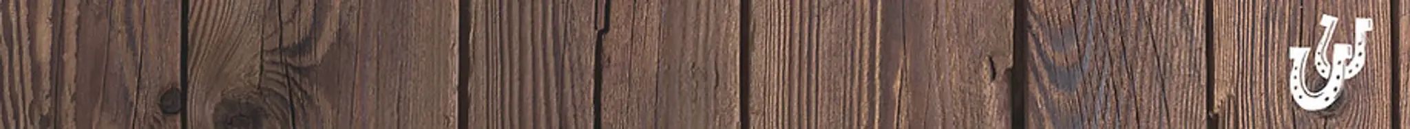 Scenic Rim Horse Riding