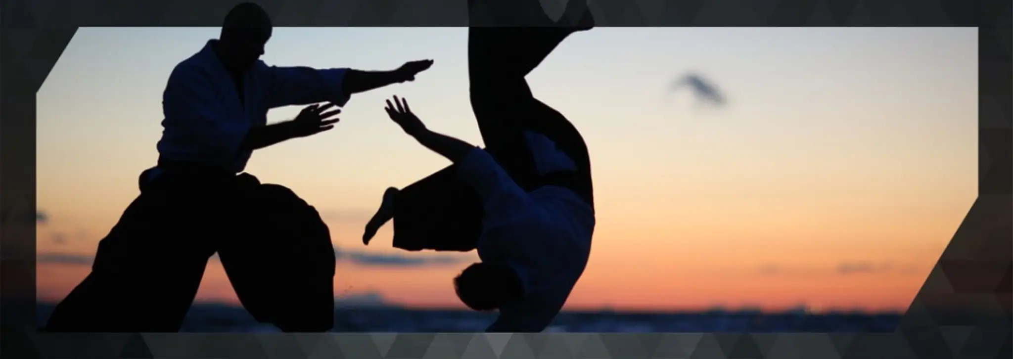 Griffith Aikido Institute