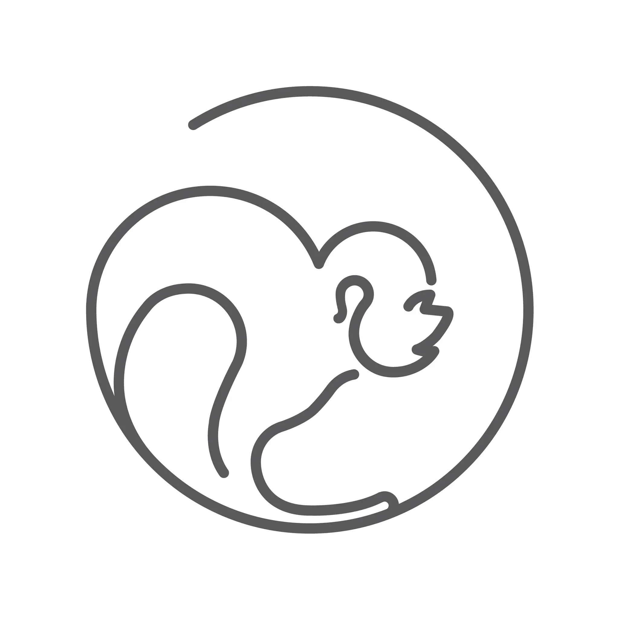 Primal Moves Melbourne