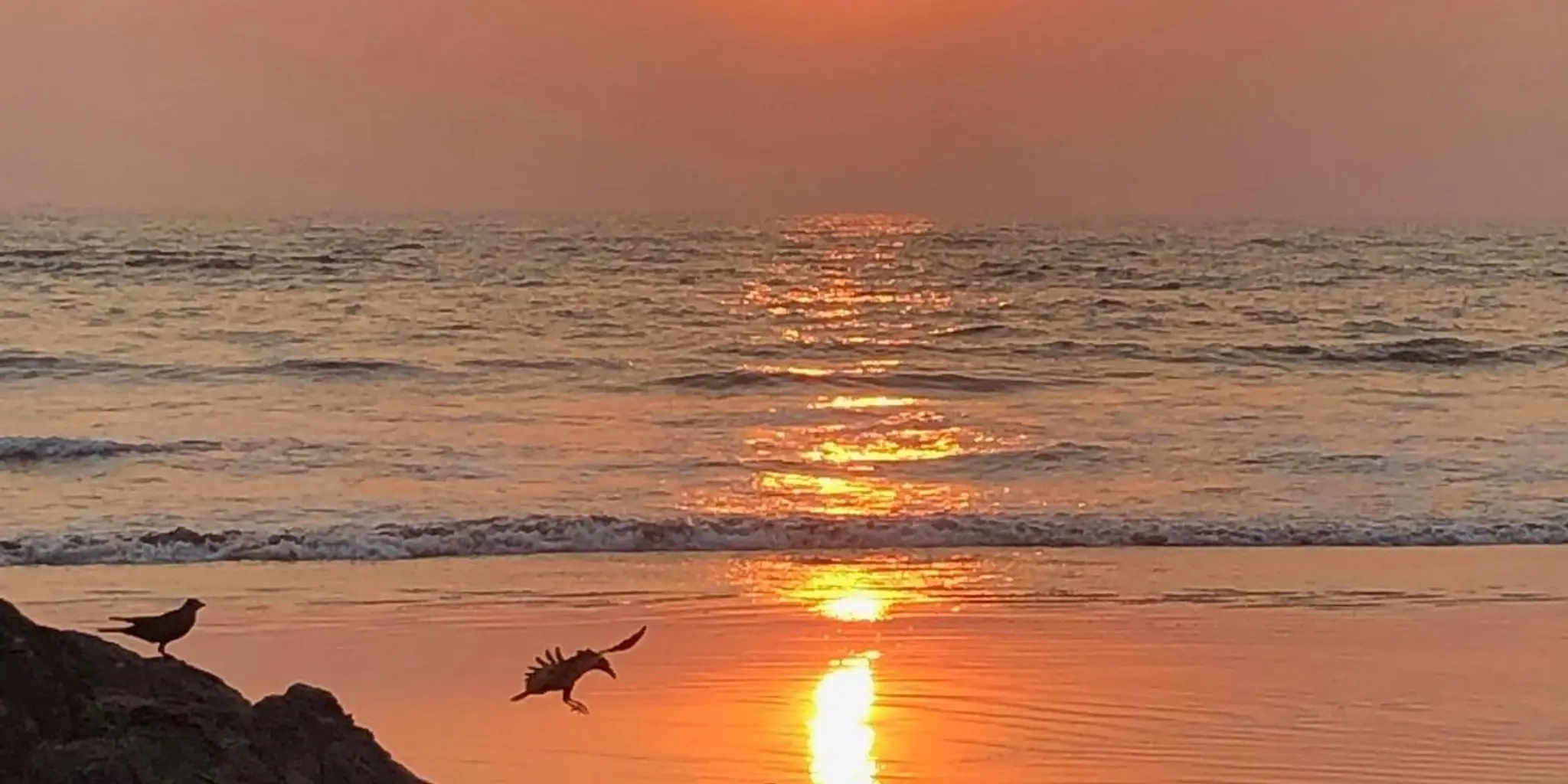 Ashtanga Yoga Guildford