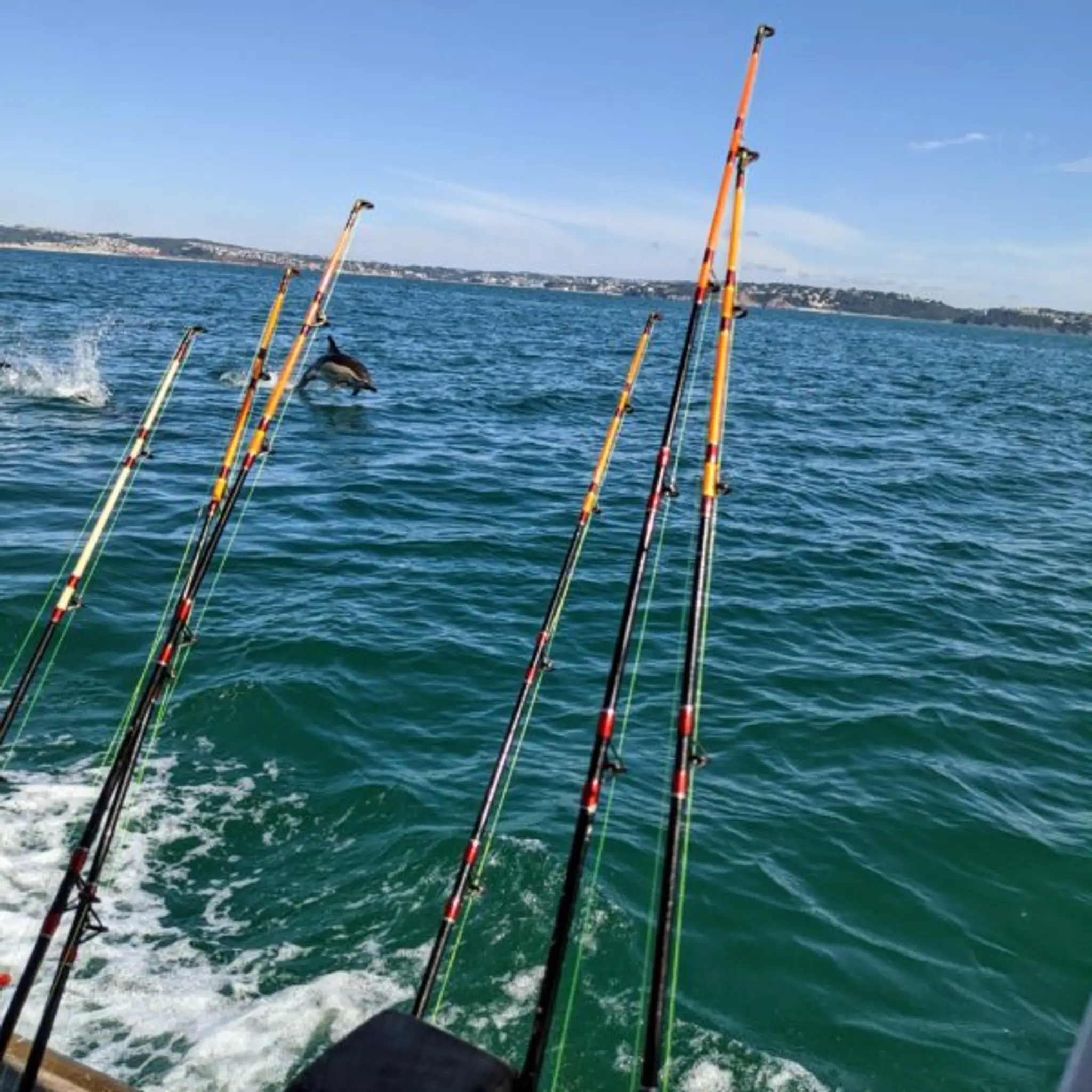 Funfish Trips & Pleasure Cruises