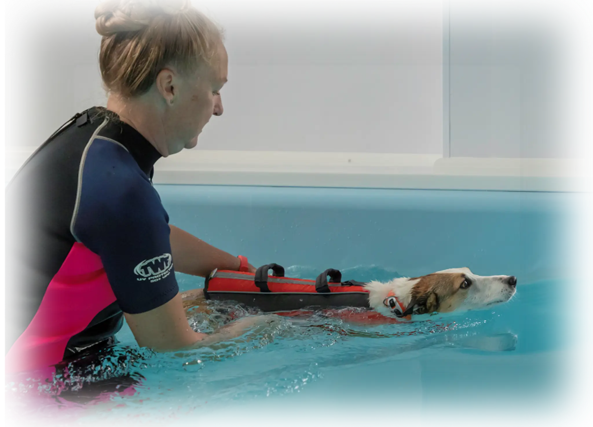 Little Barn Hydrotherapy