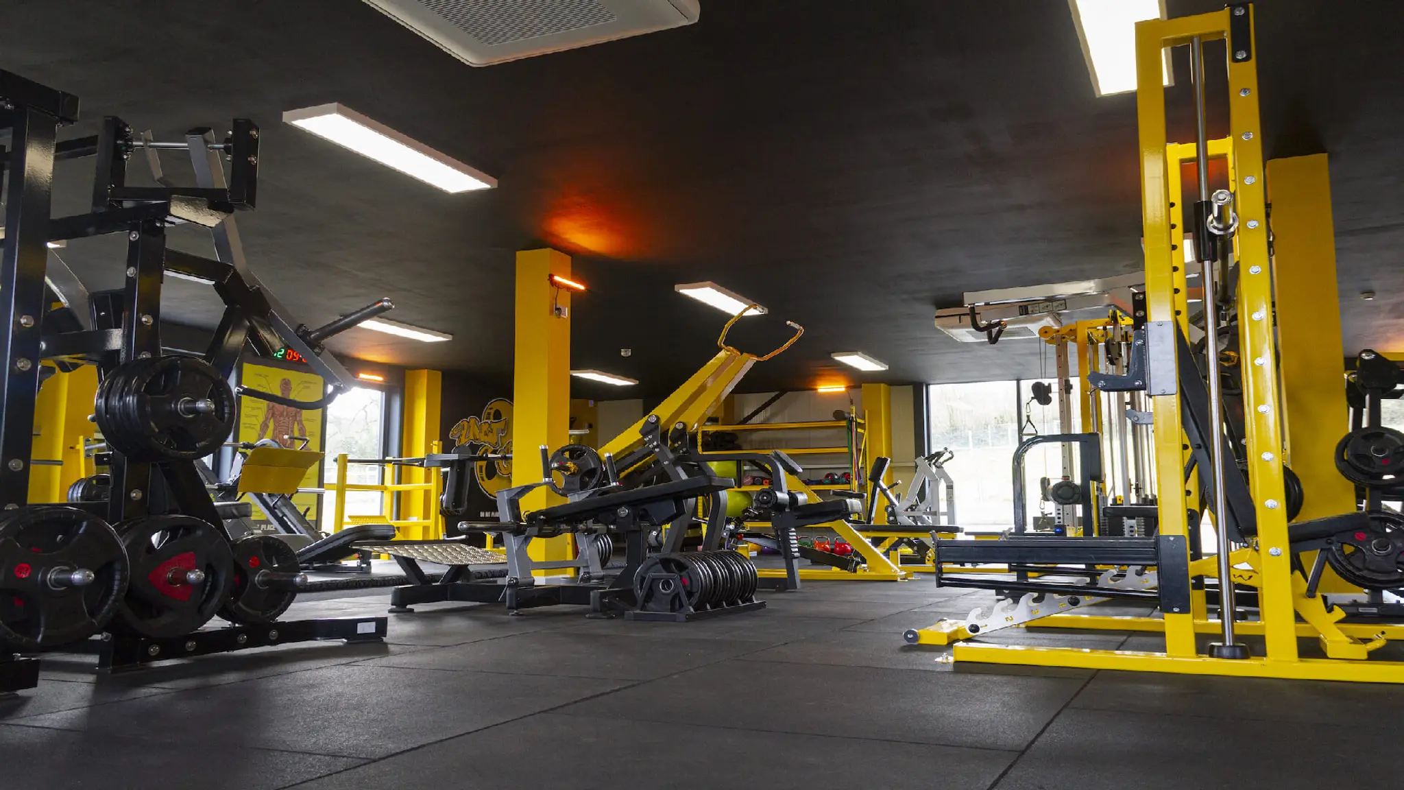 Unit 8 Gym