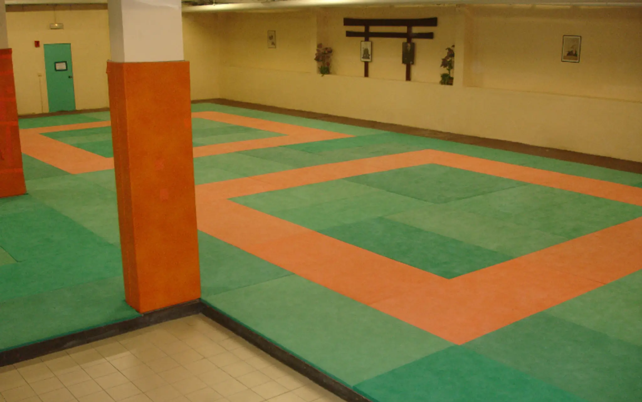 Aikido Round Bush Chambery