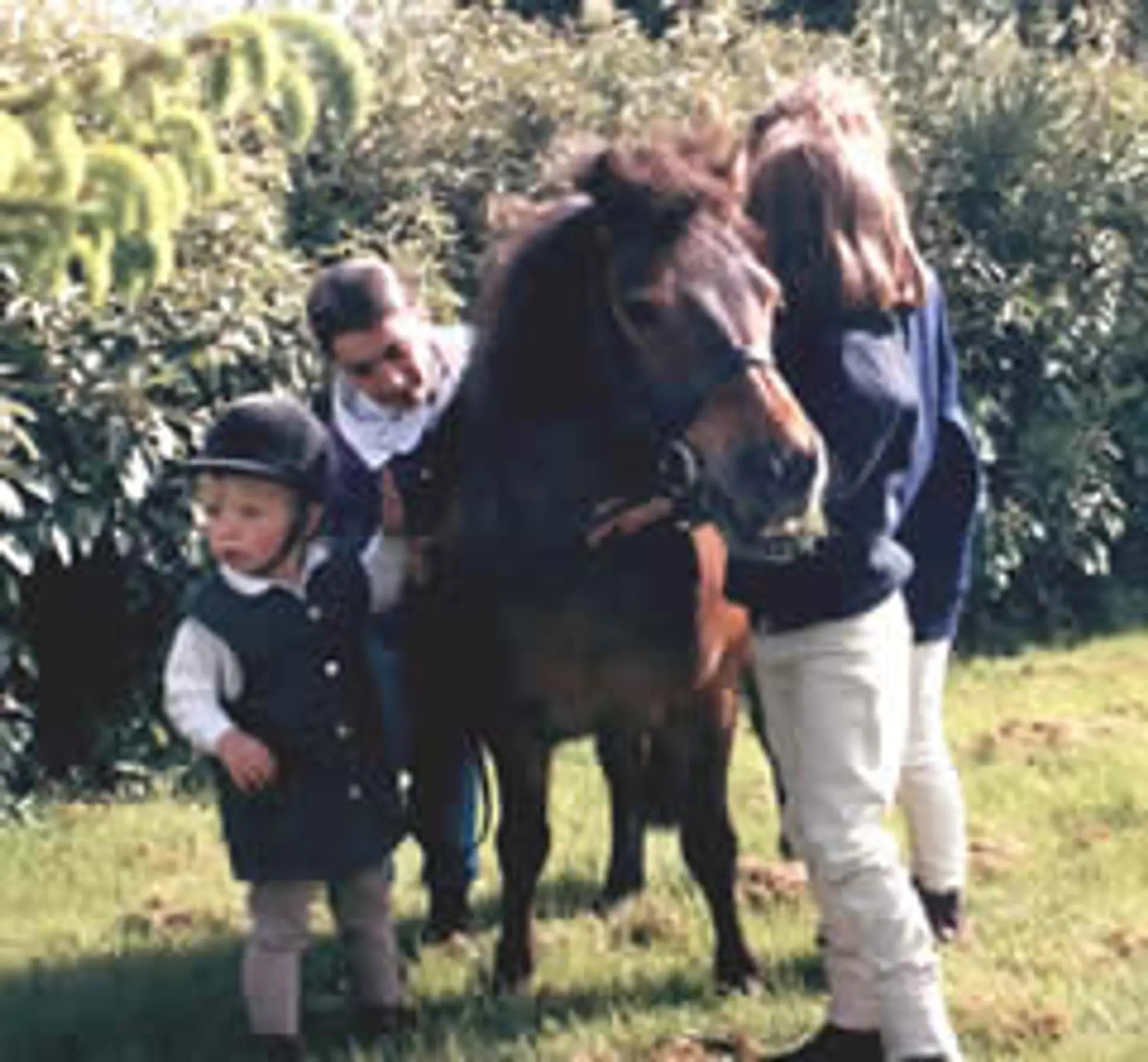 Heazle Riding Centre