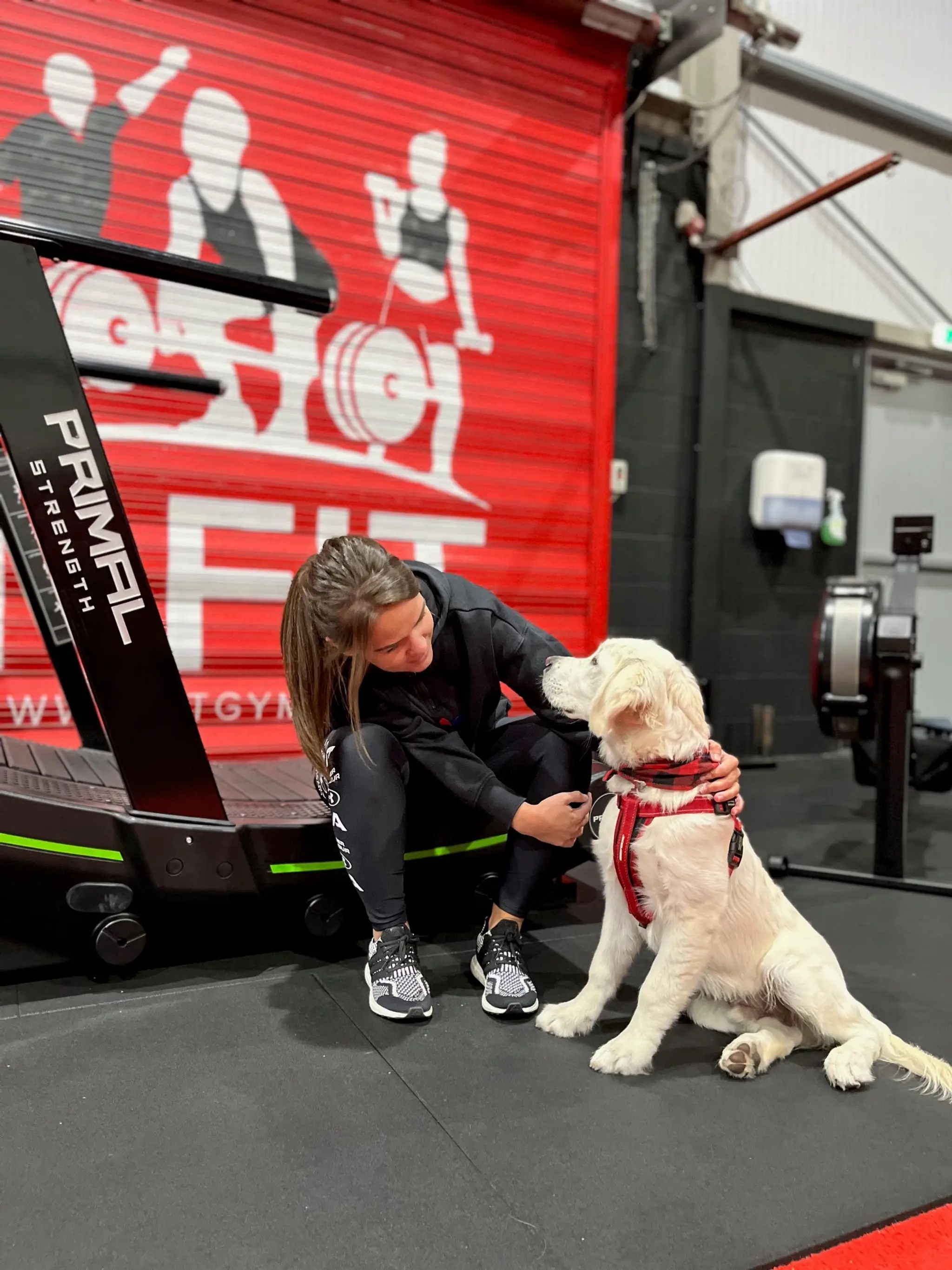 T-FIT GYM