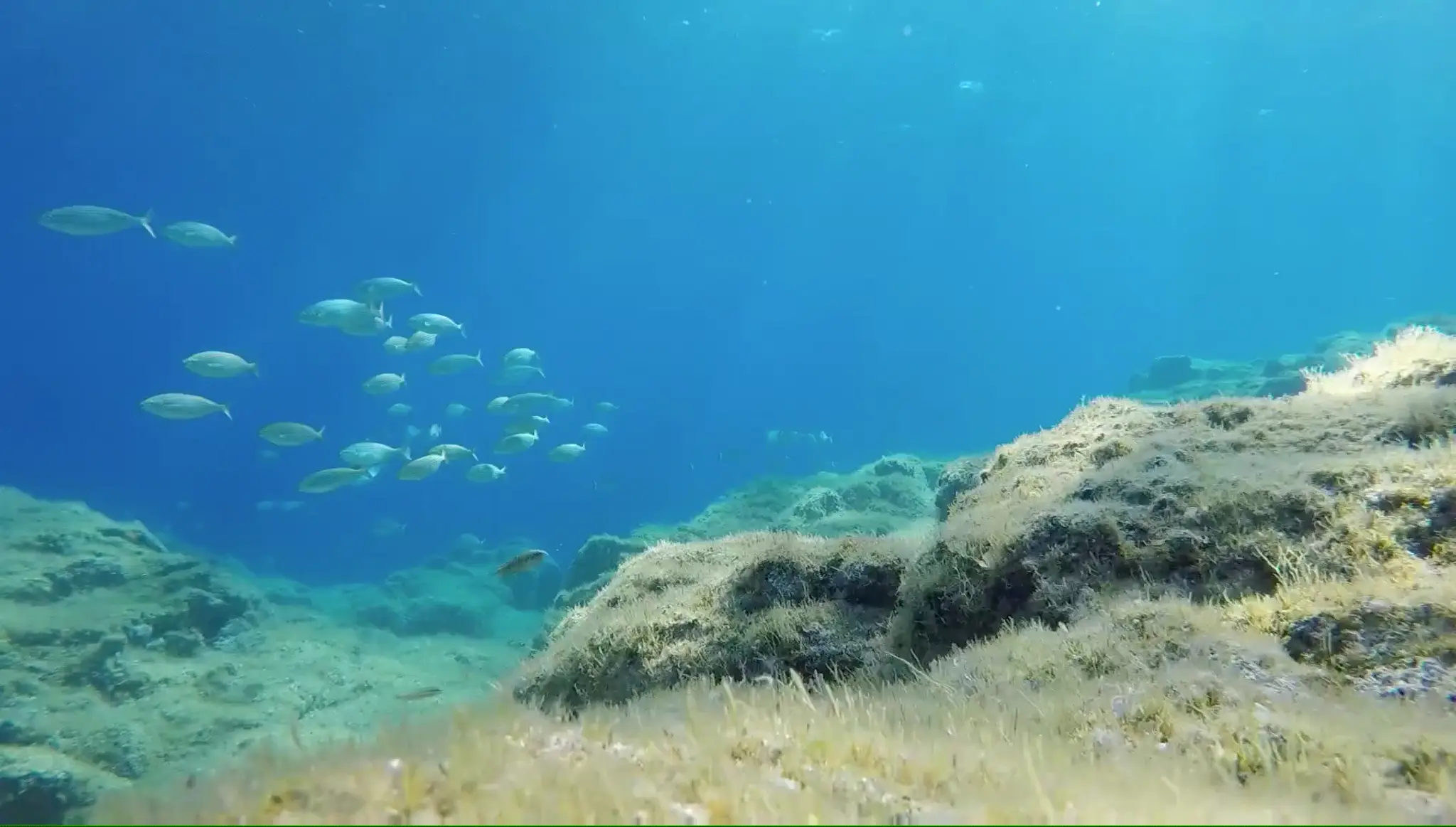 A l'Eau Rando