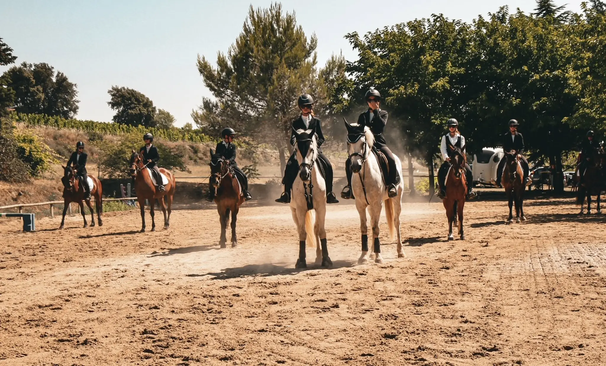 Centre Equestre Et Poney Club De Vaison