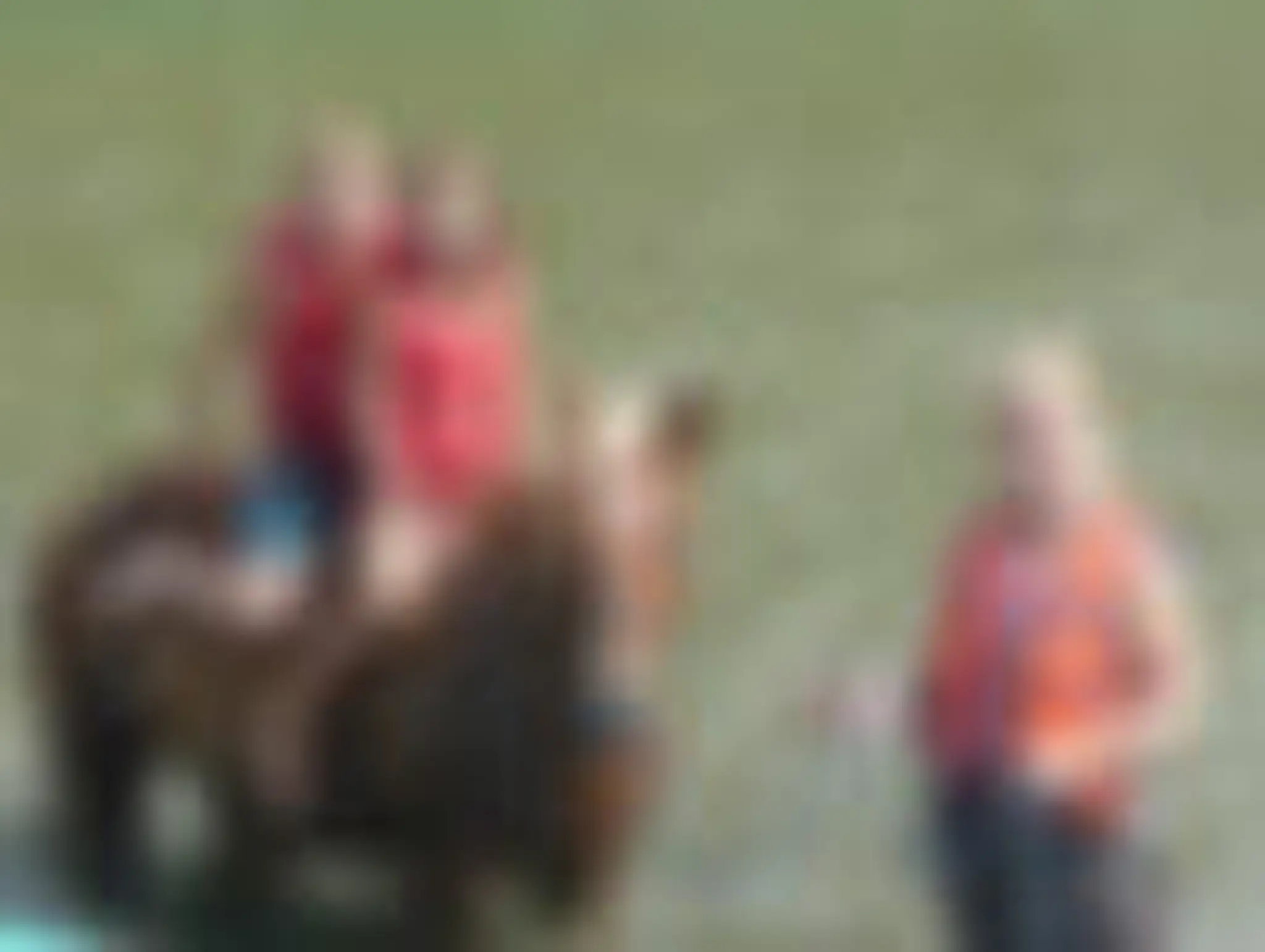 Base De Plein Air Domaine Fraser