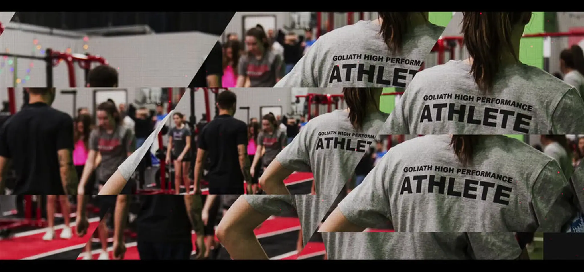 Goliath: High Performance INC.