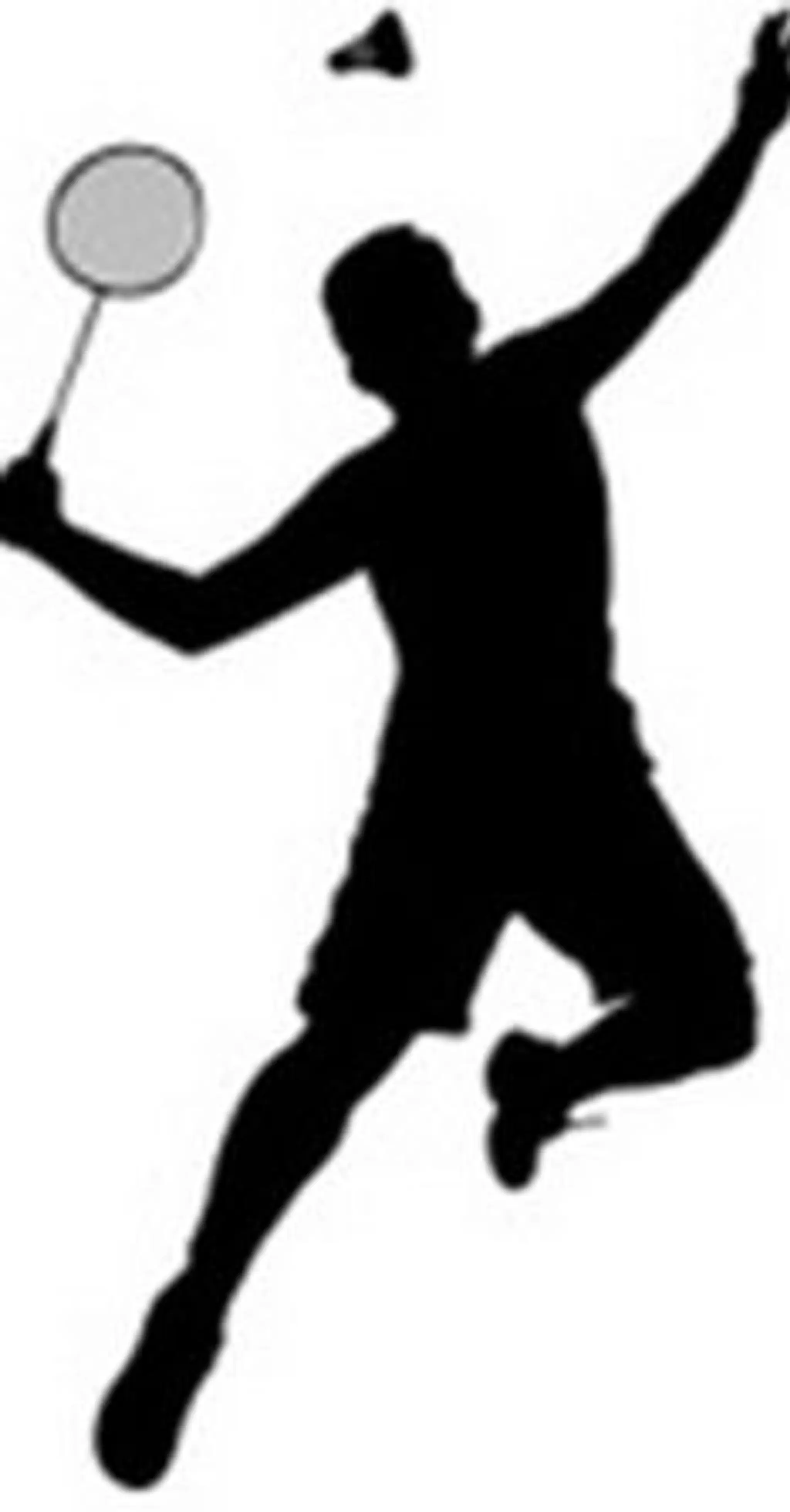 Hamilton Badminton Club