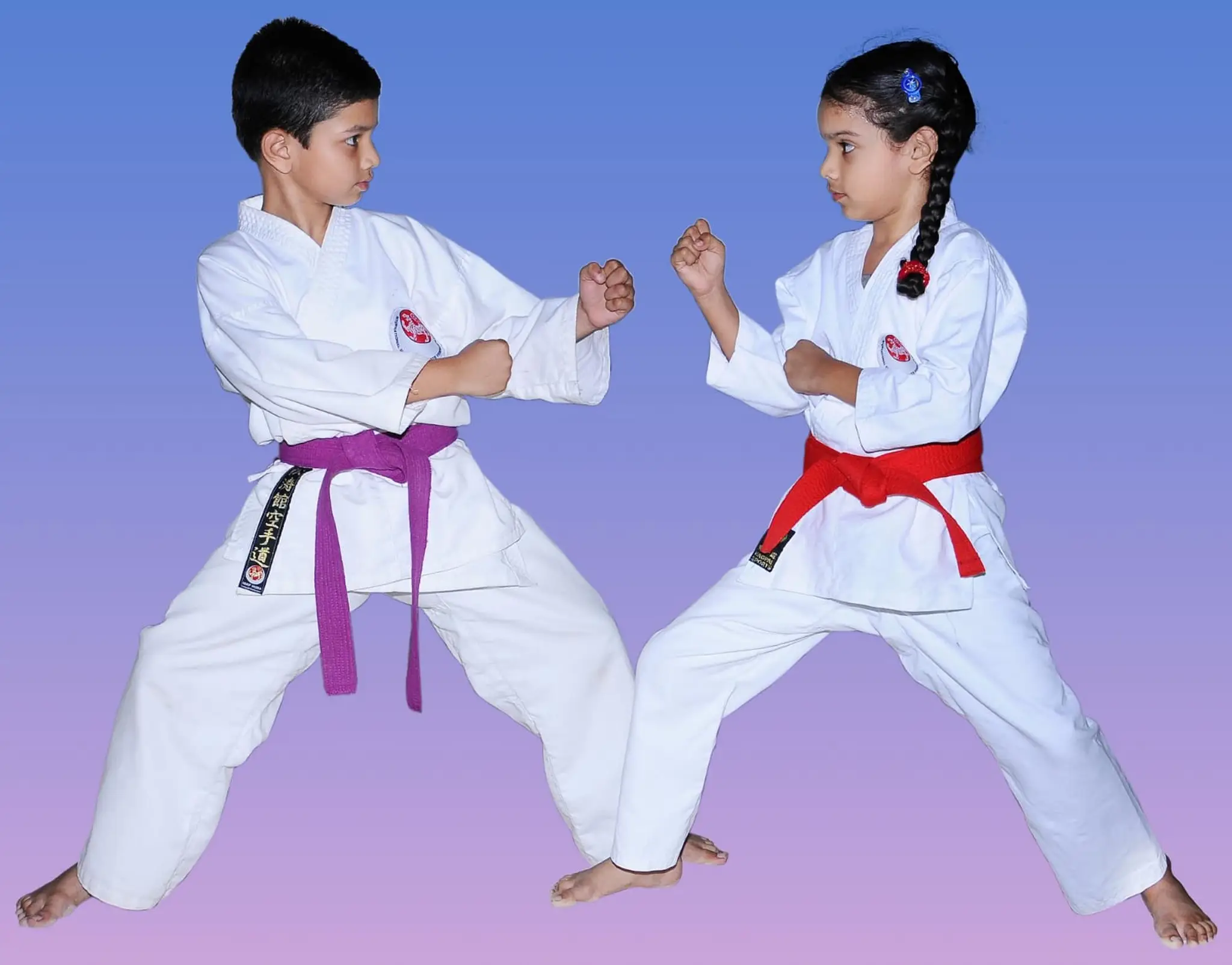 IJKA SHOTOKAN International Academy(Karate Classes for Guntur)